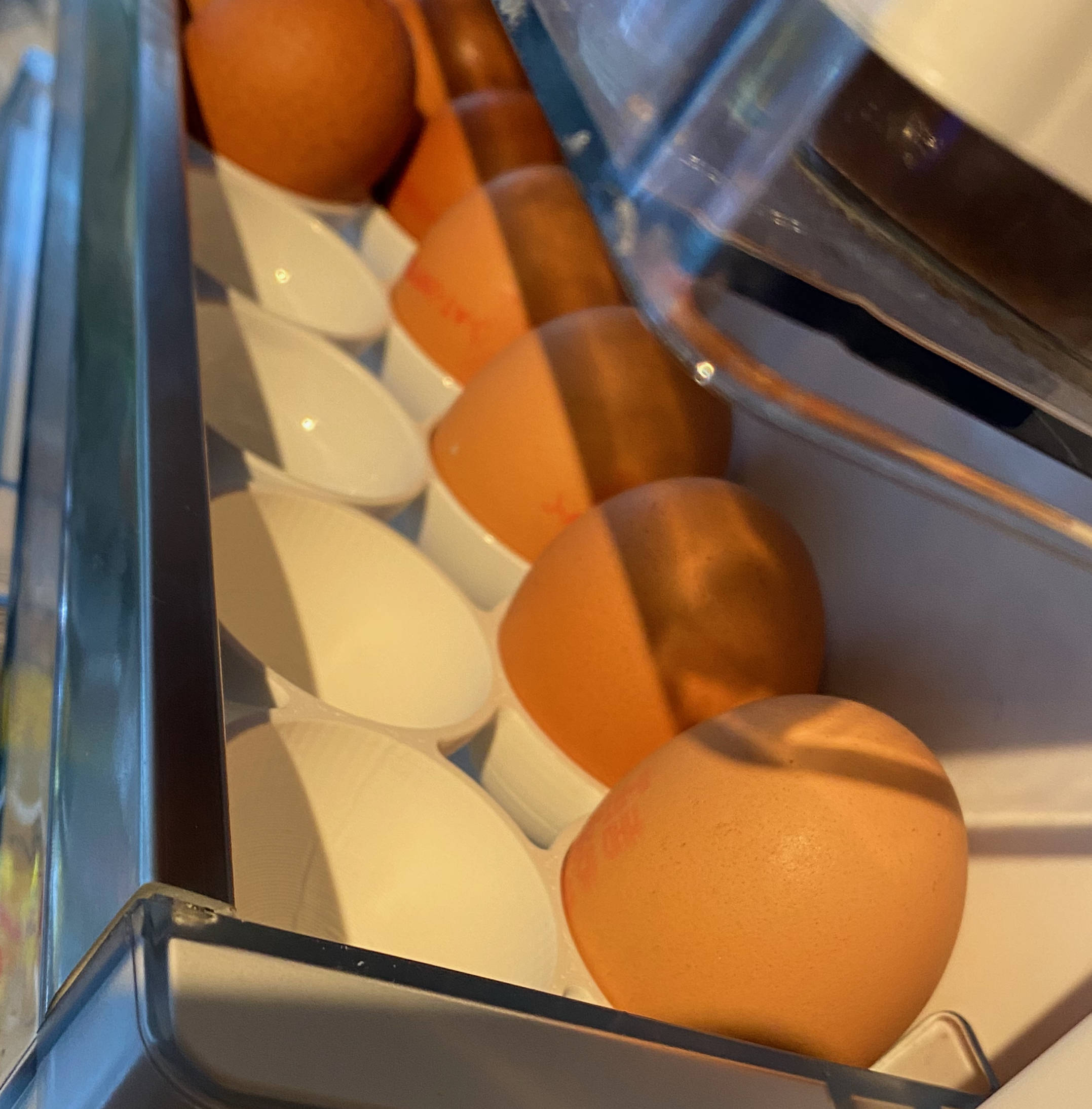 bsh-egg-tray-2x2-by-0xdefec-download-free-stl-model-printables
