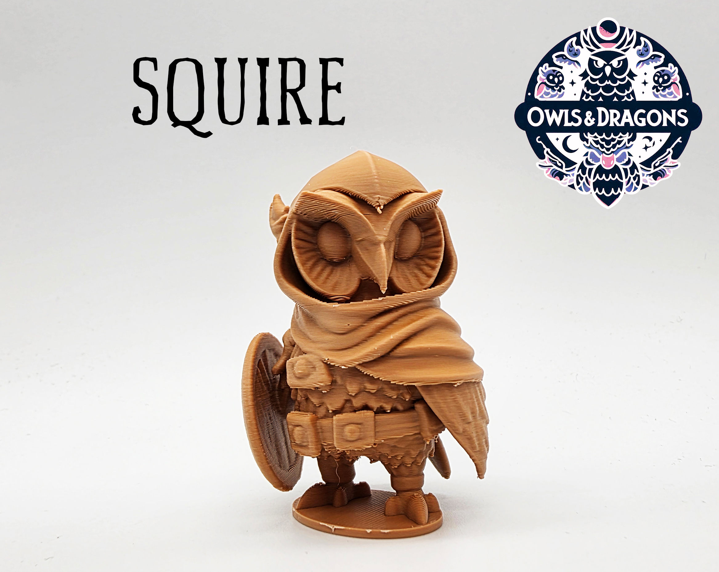 The Squire - Owls & Dragons