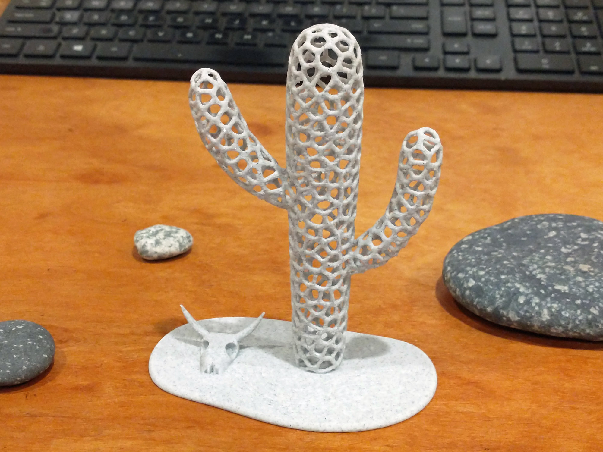 Saguaro Cactus Skeleton