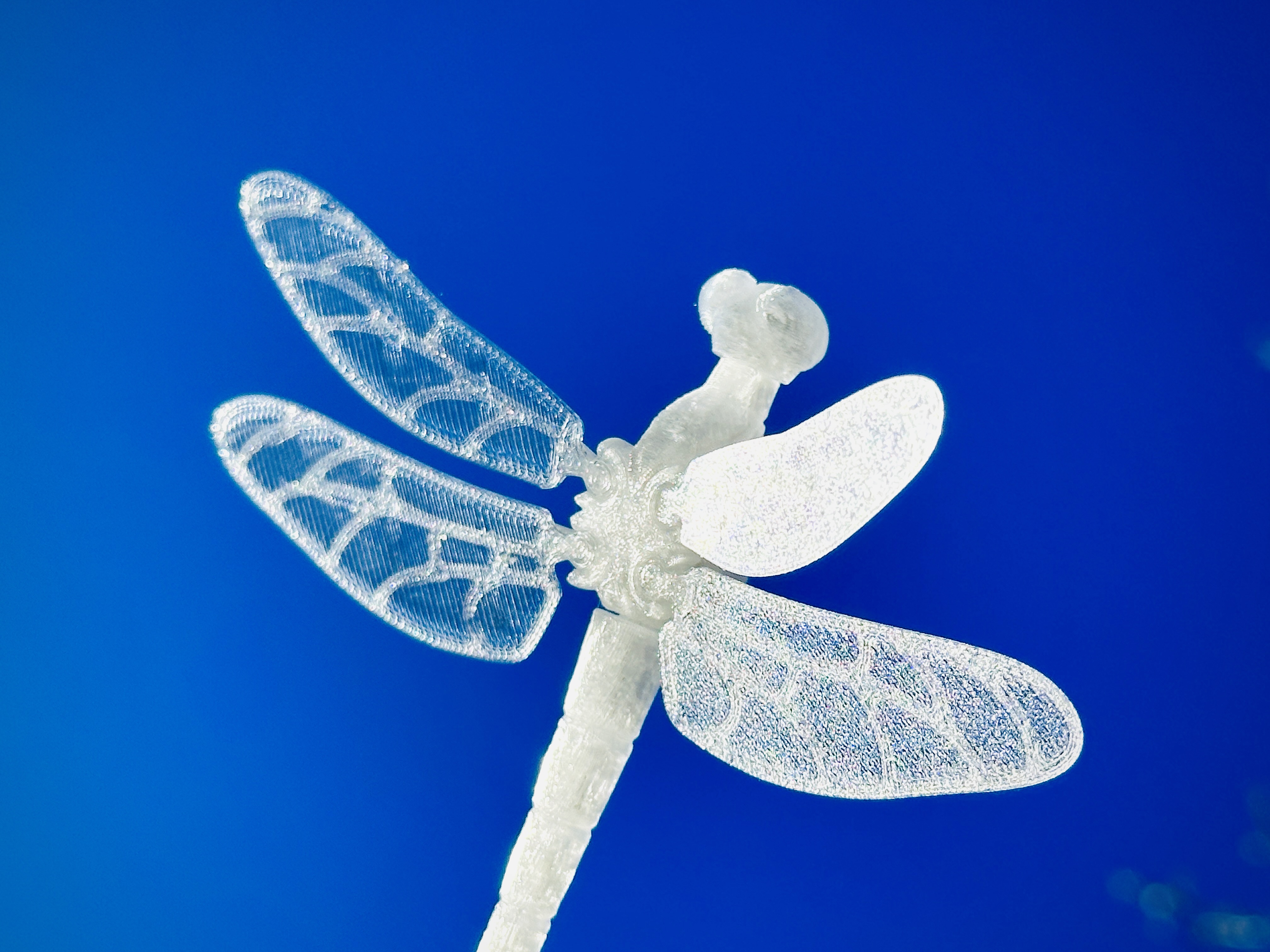 Thin Wings for Voronoi Dragonfly