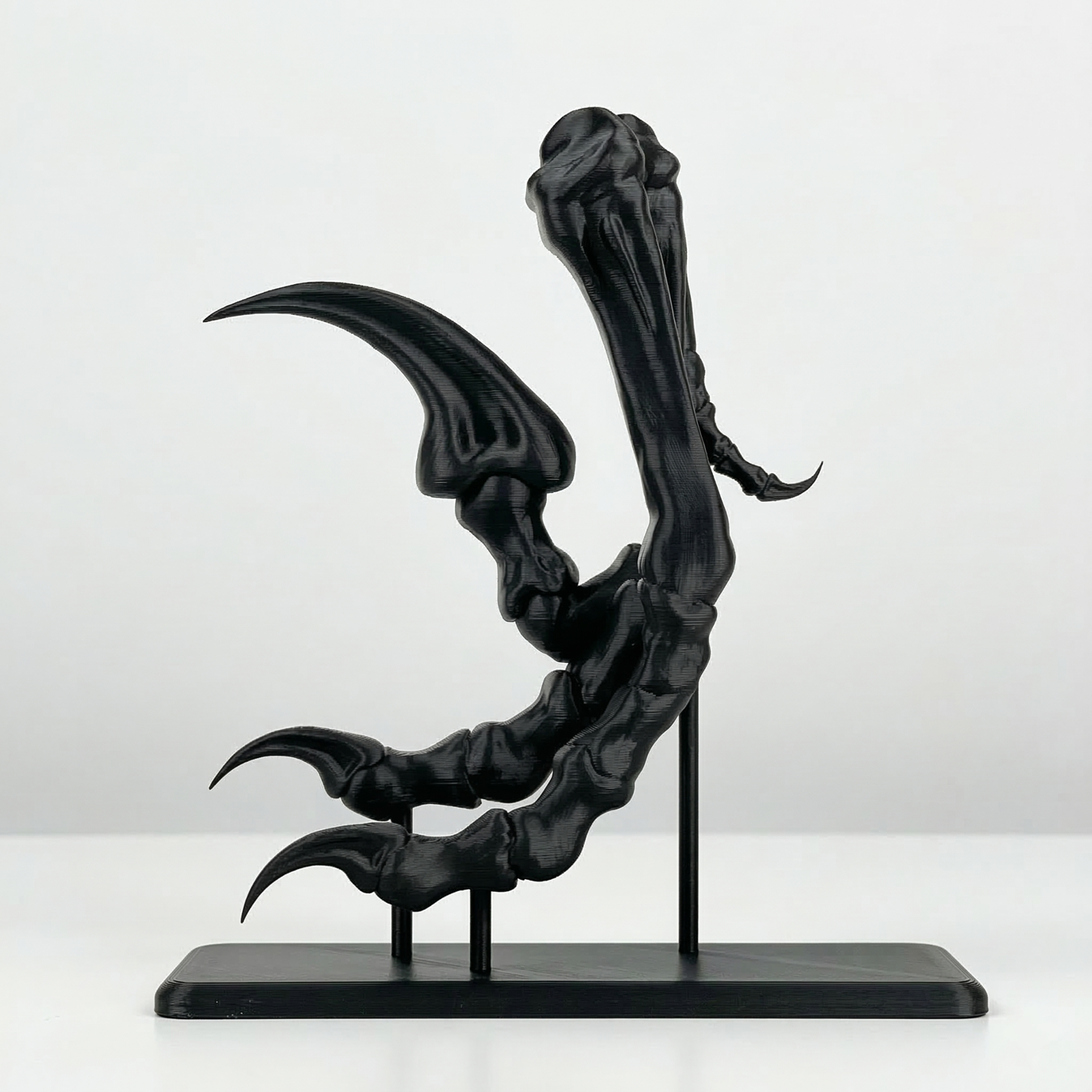 Velociraptor Claw — Life Size Dinosaur Fossil Replica with Display Stand