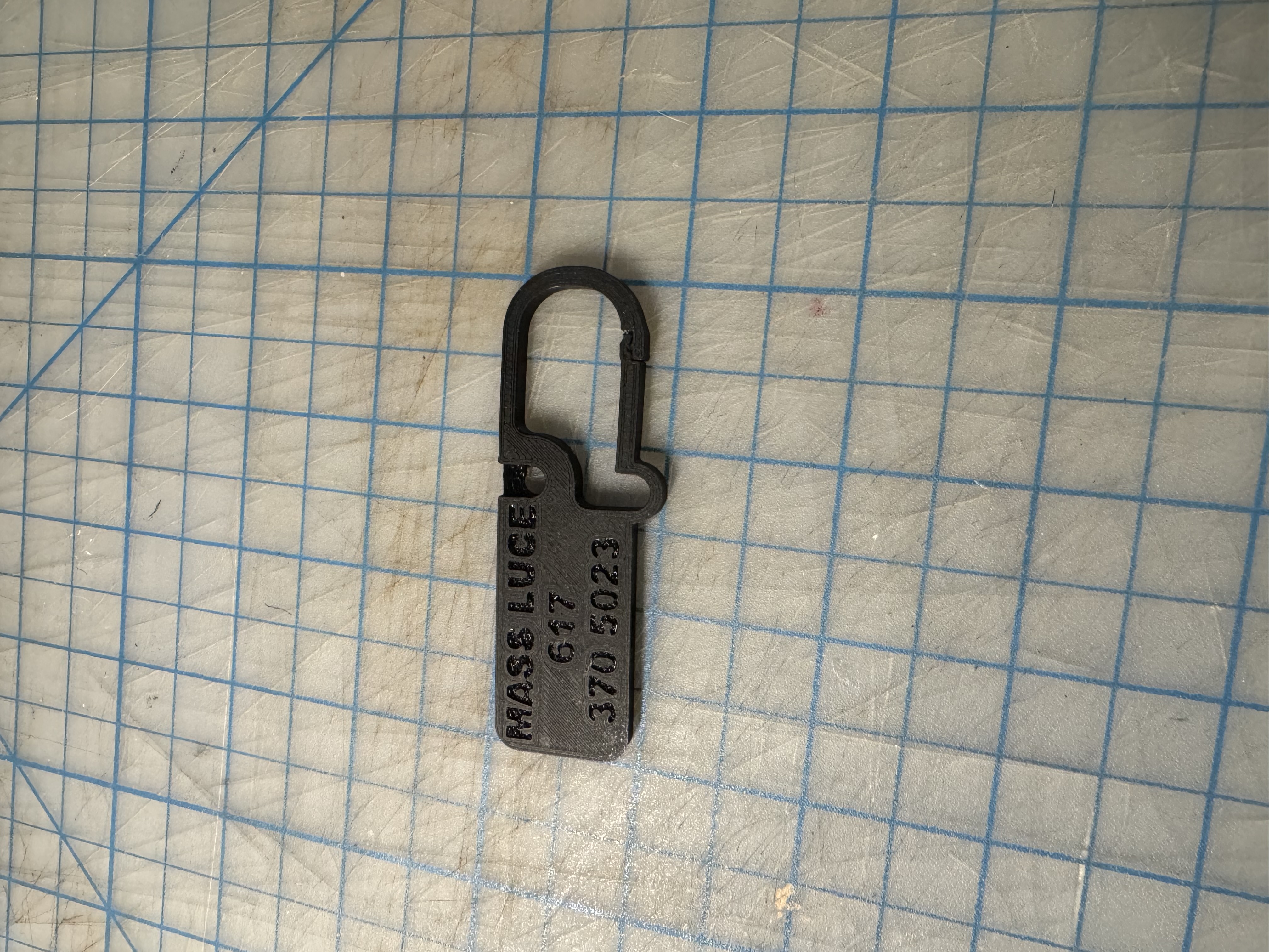 No Ice carabiner whistle (Mass LUCE hotline whistle)