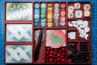 Wingspan Asia Full Insert Organizer