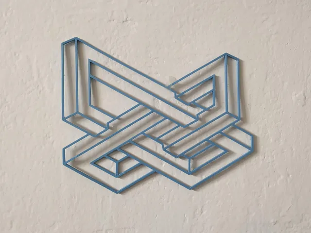 2D eye illusion wallart