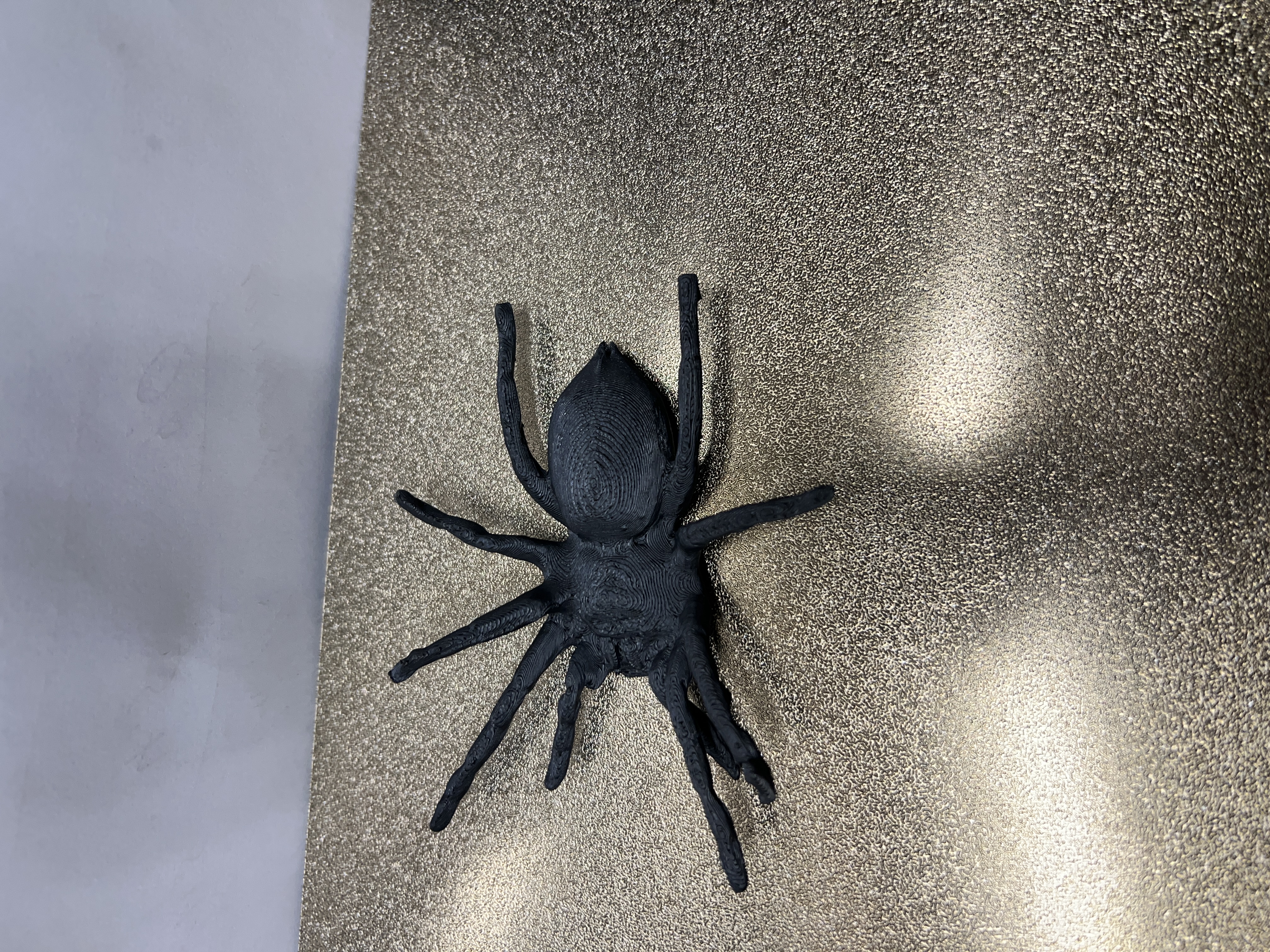 Tarantula