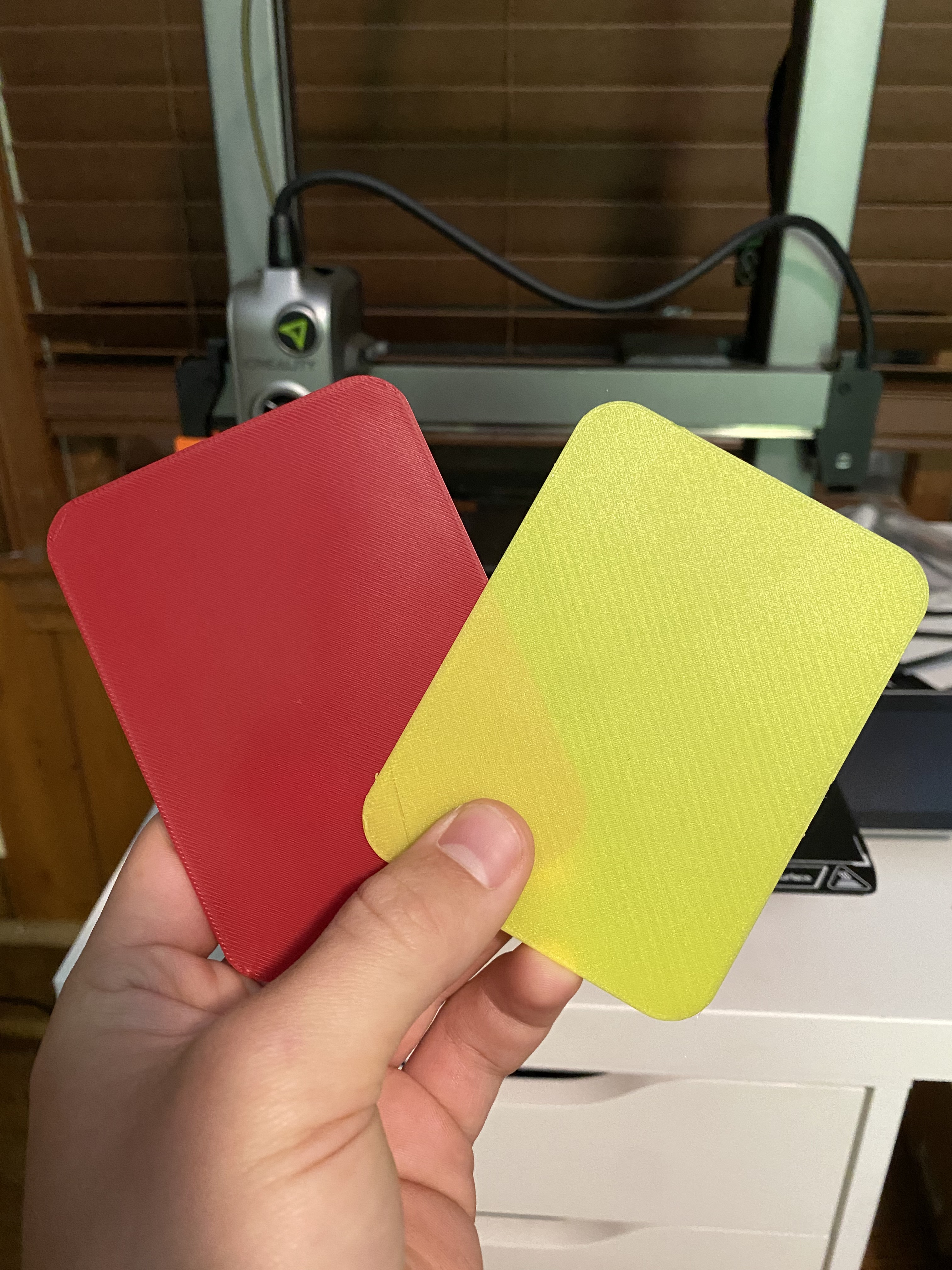 Soccer Referee's Yellow/Red Card