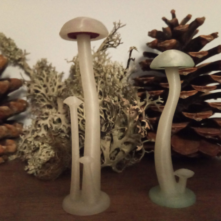 Mushrooms — miniatura 2