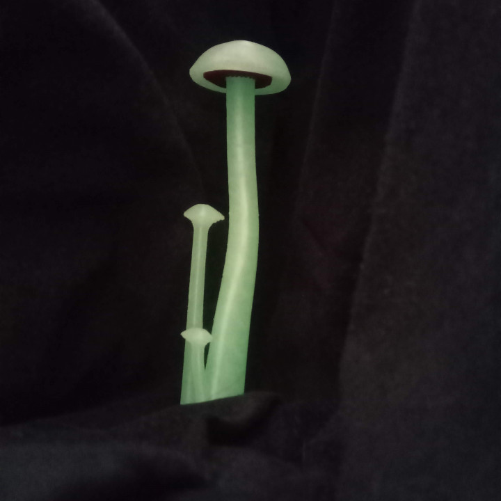 Mushrooms — miniatura 3