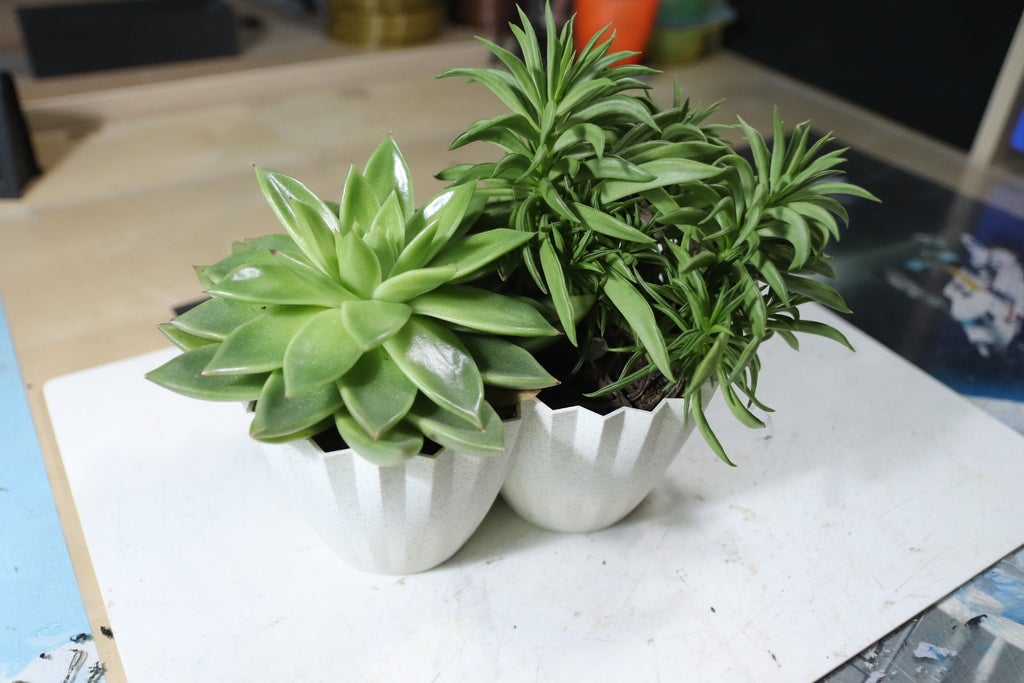 Plant Pot