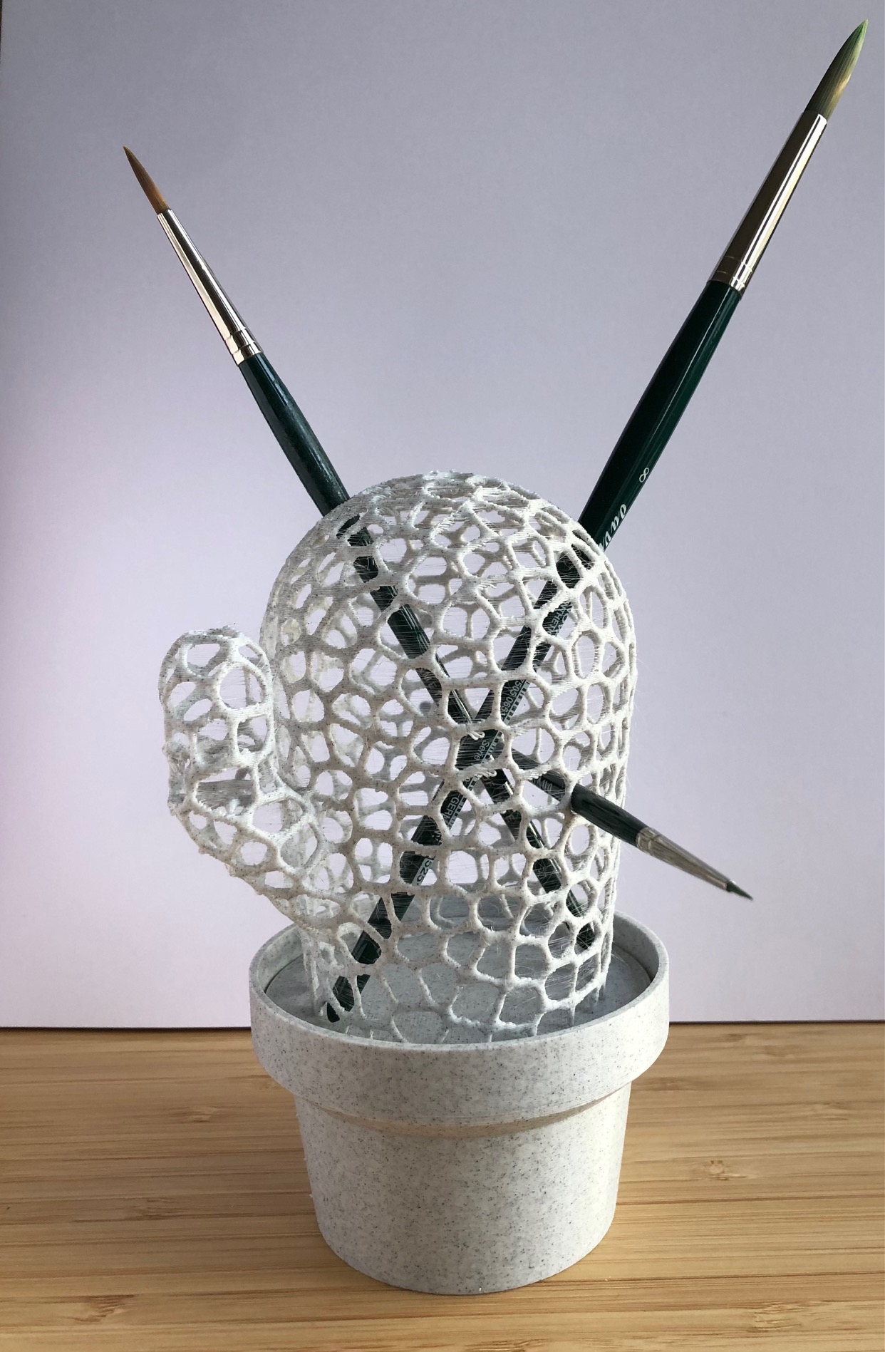 Voronoi Cactus Desk Organizer