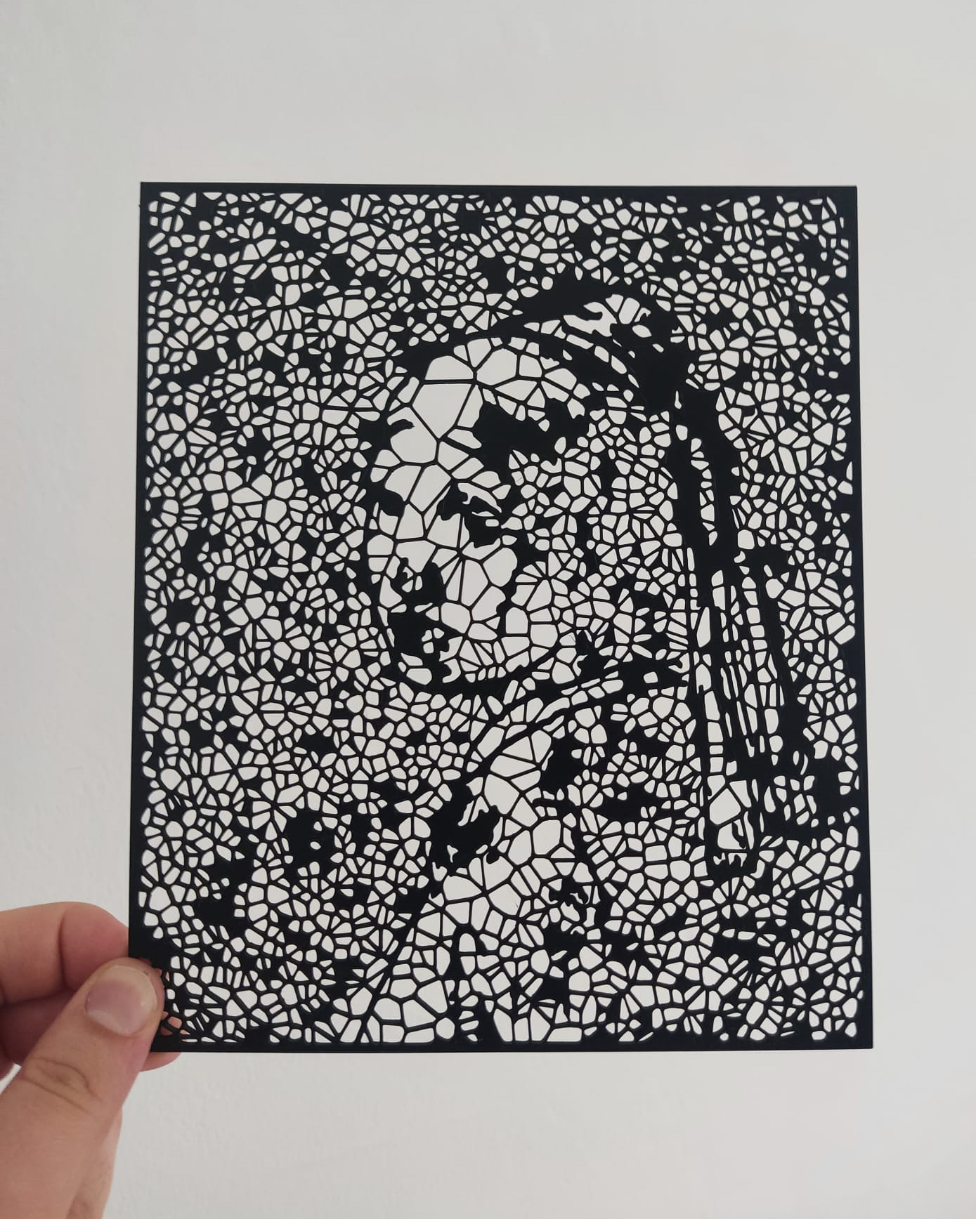 Voronoi Art: paintings collection