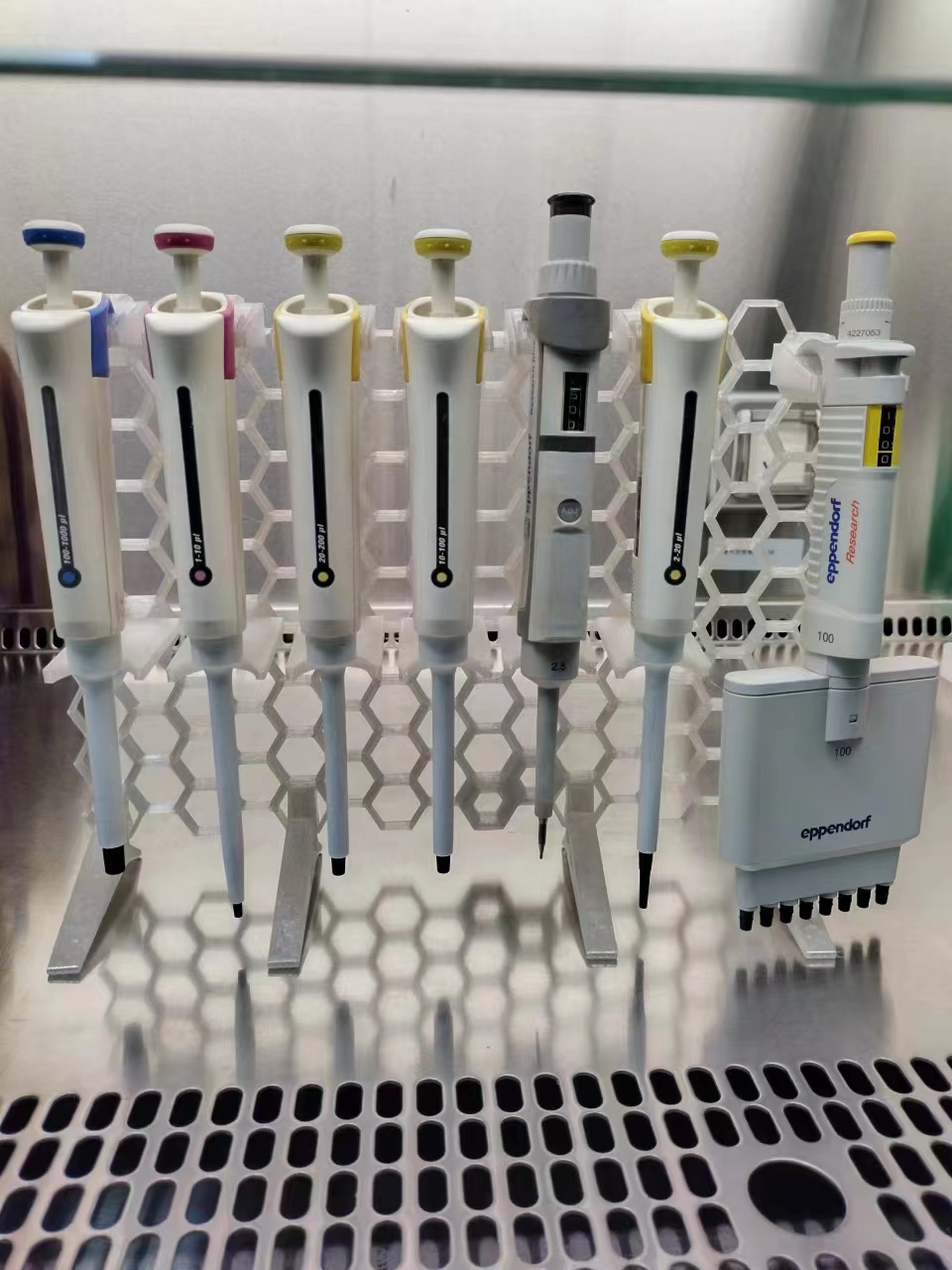 Pipette Holder for HSW by 野獣 先輩 Download free STL model