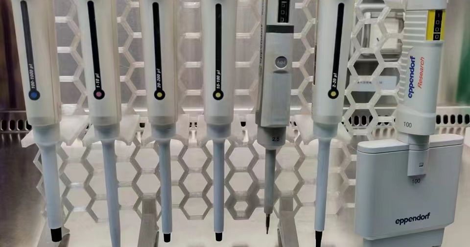 Pipette Holder for HSW by 野獣 先輩 | Download free STL model | Printables.com
