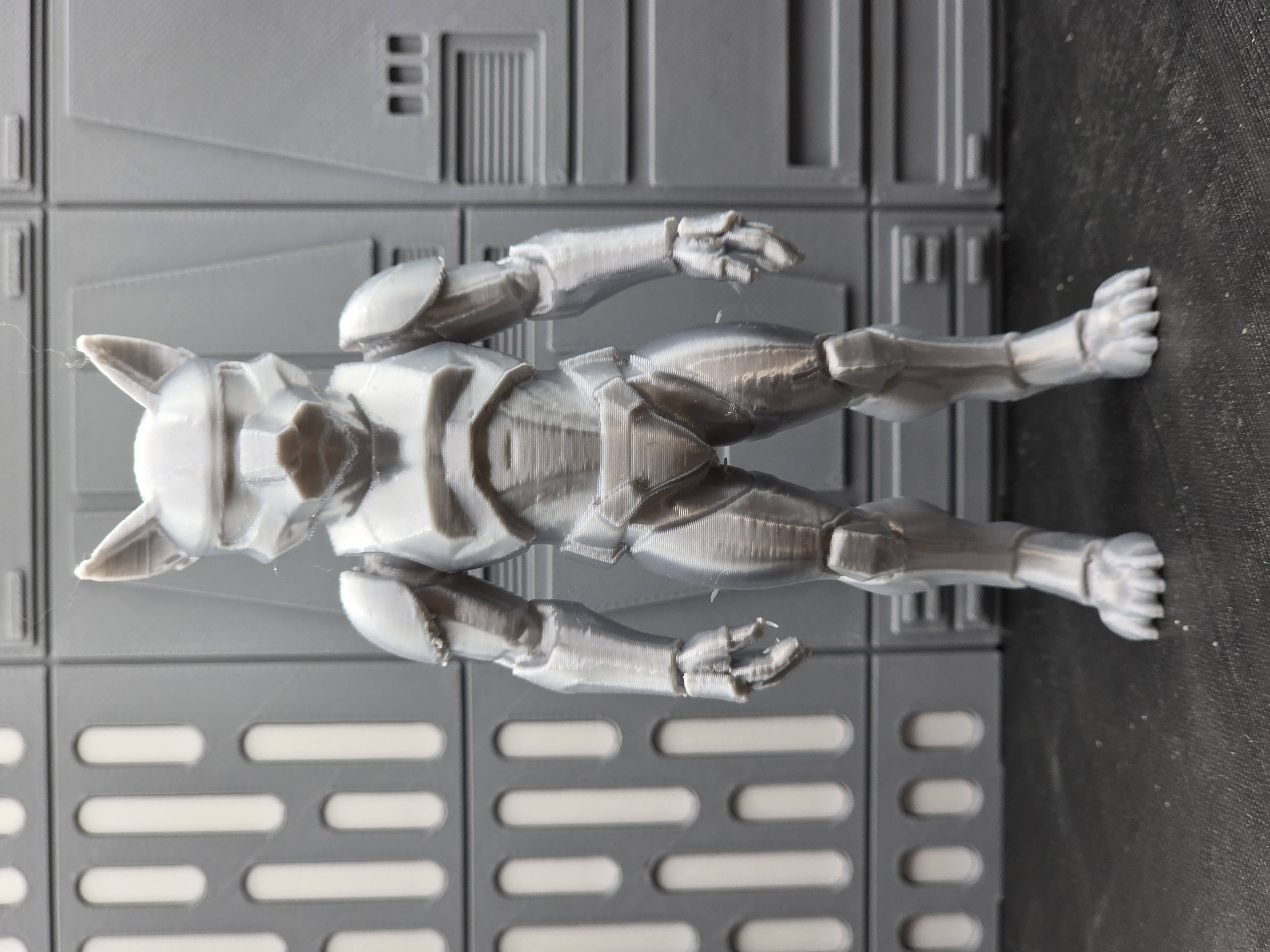 Stormtrooper Cat