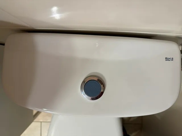 Roca Toilet button