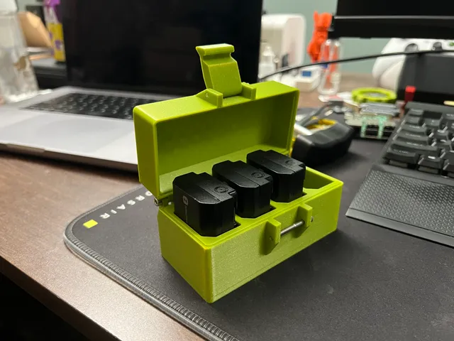 Sony FZ100 Battery Case