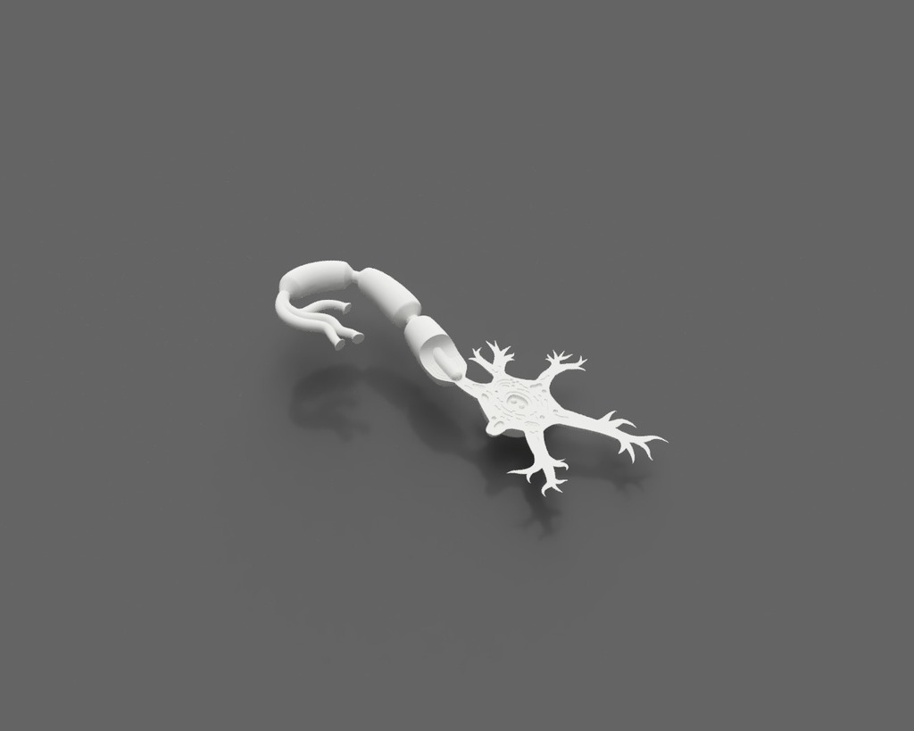 Neuron Model