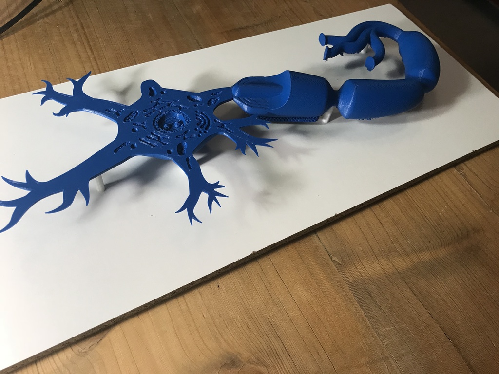 Miniatura 3 do modelo 3D Neuron Model