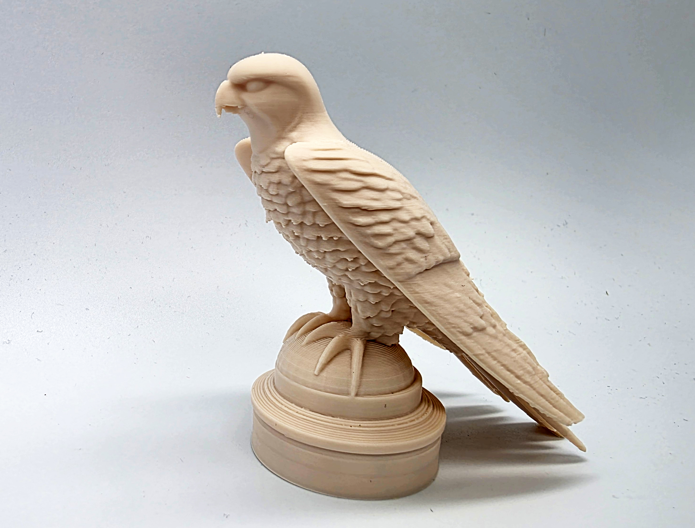Falcon on Perch #2