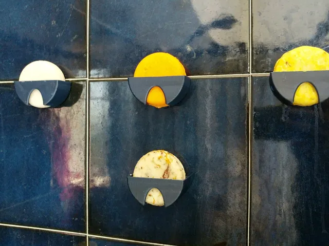 Lush soap holder