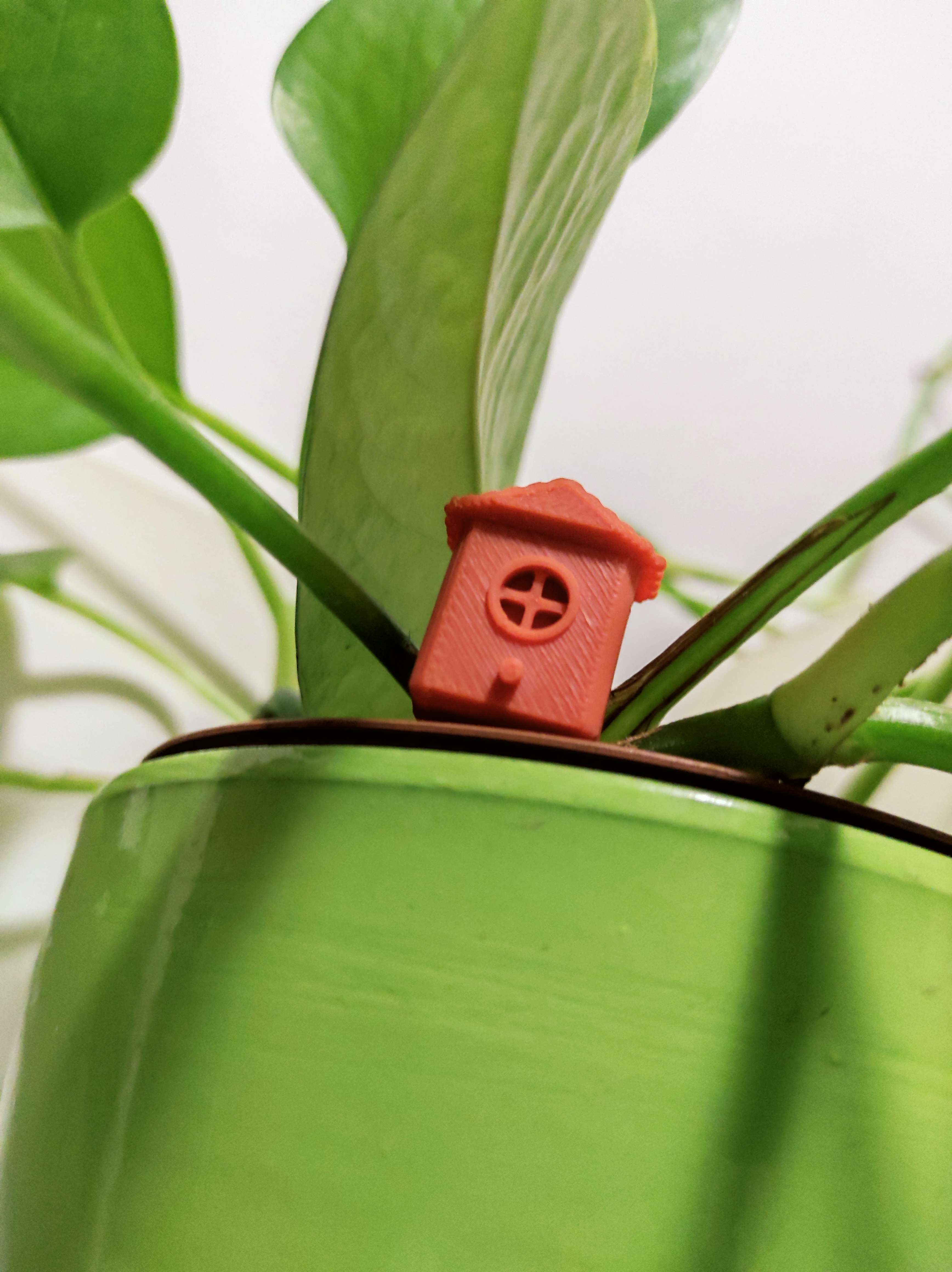 Bird house screw cover