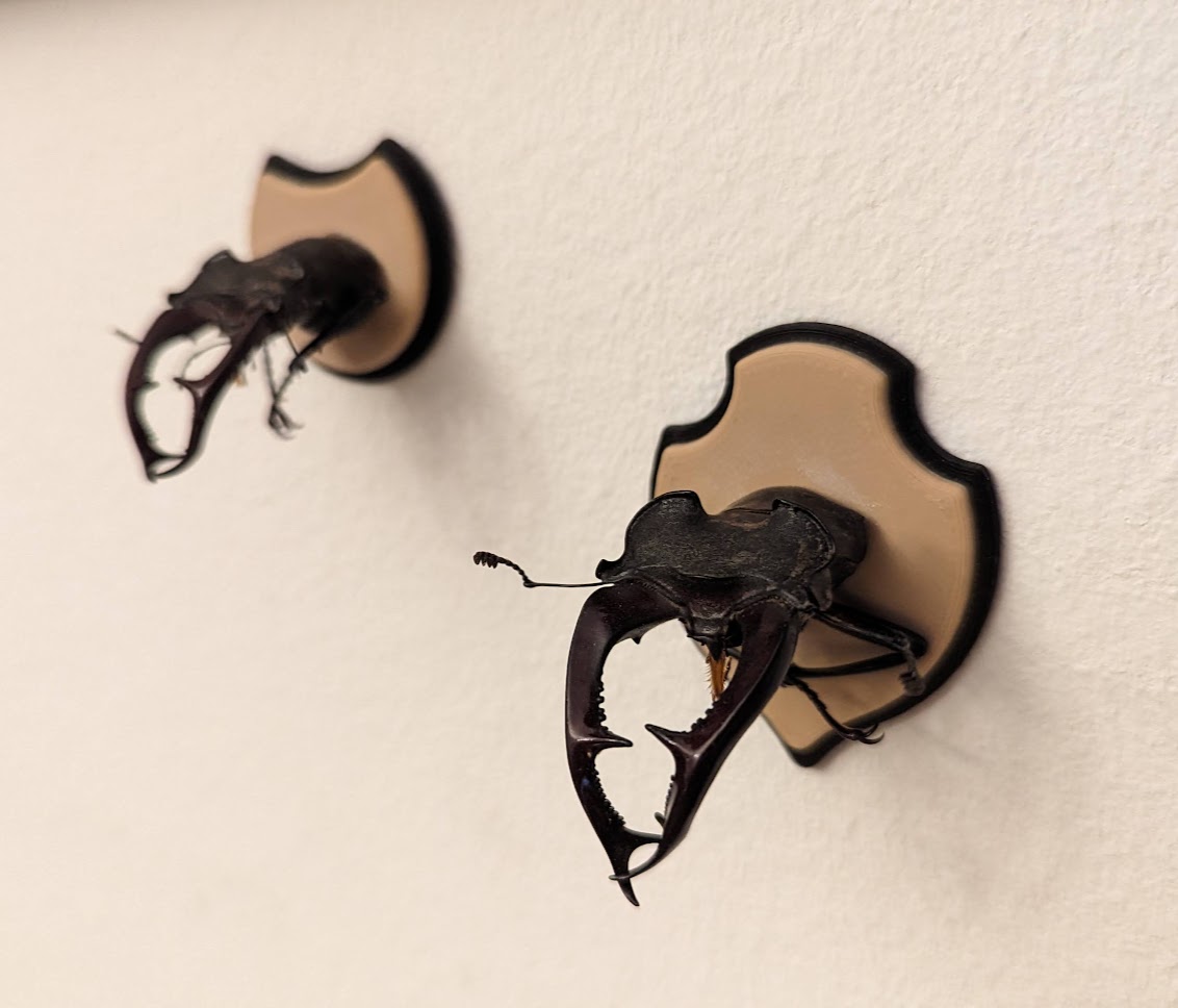 Trophy shields for stag beetles
