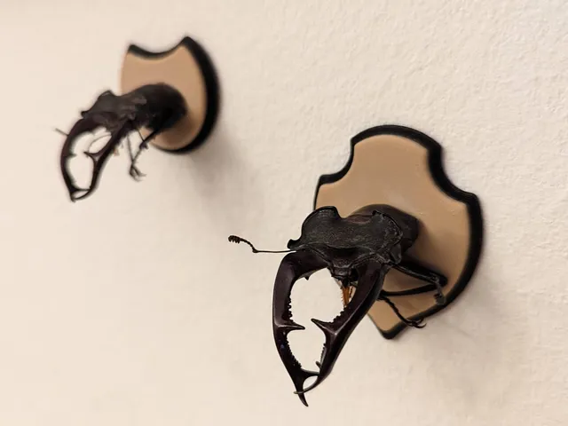 Trophy shields for stag beetles