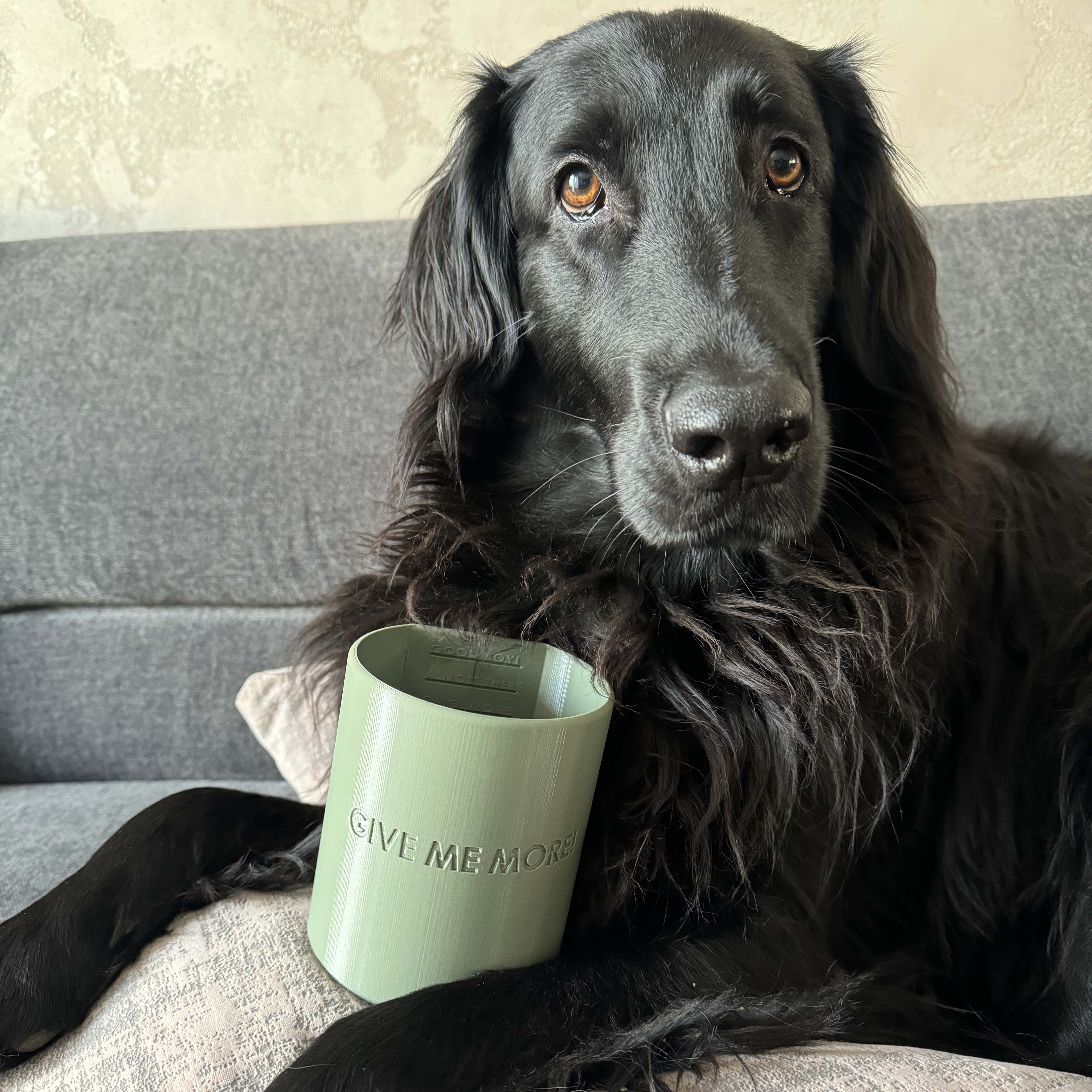 Pet food measuring cup- Give me more!