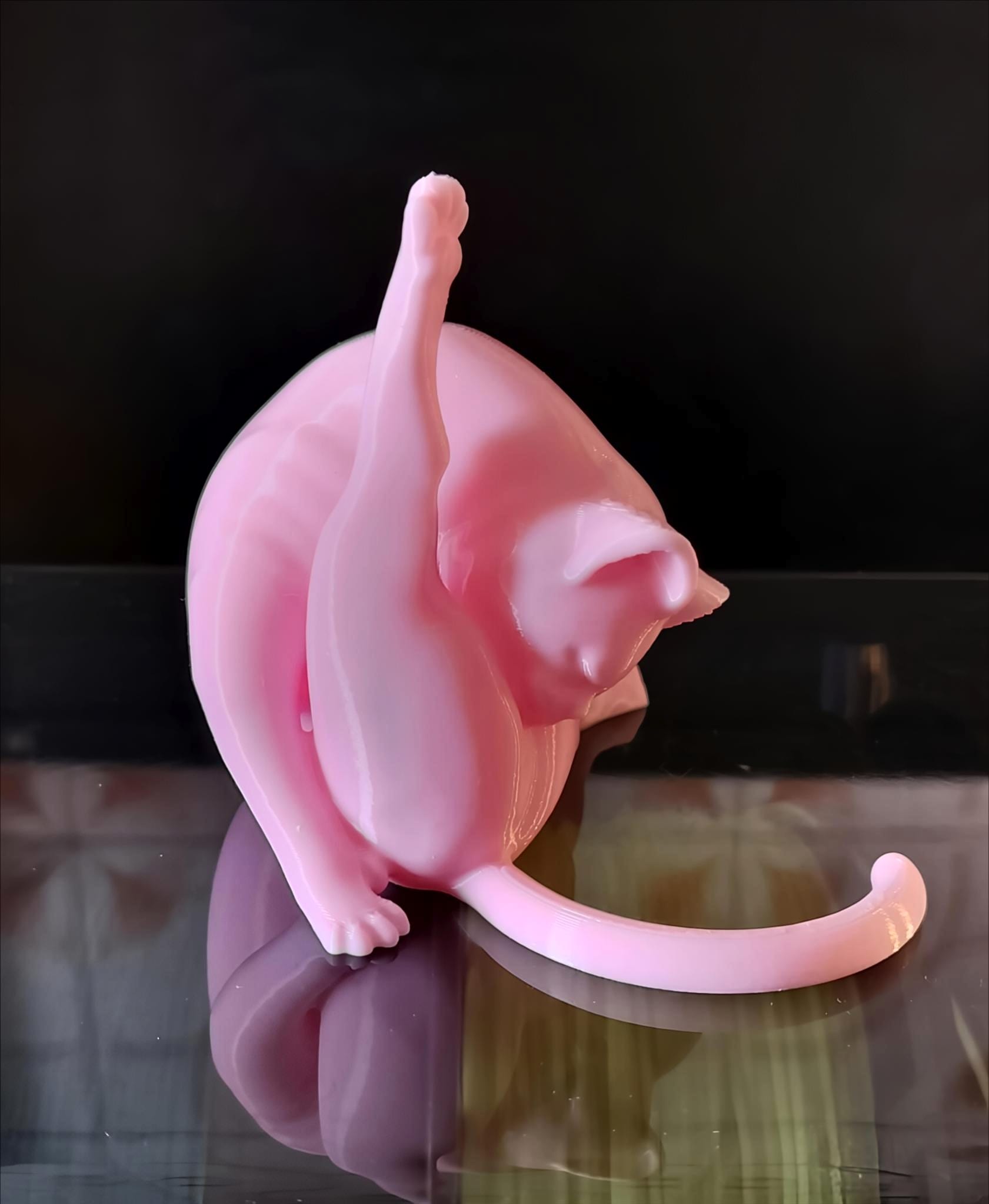 Cat Cleaning Routine — miniatura 2