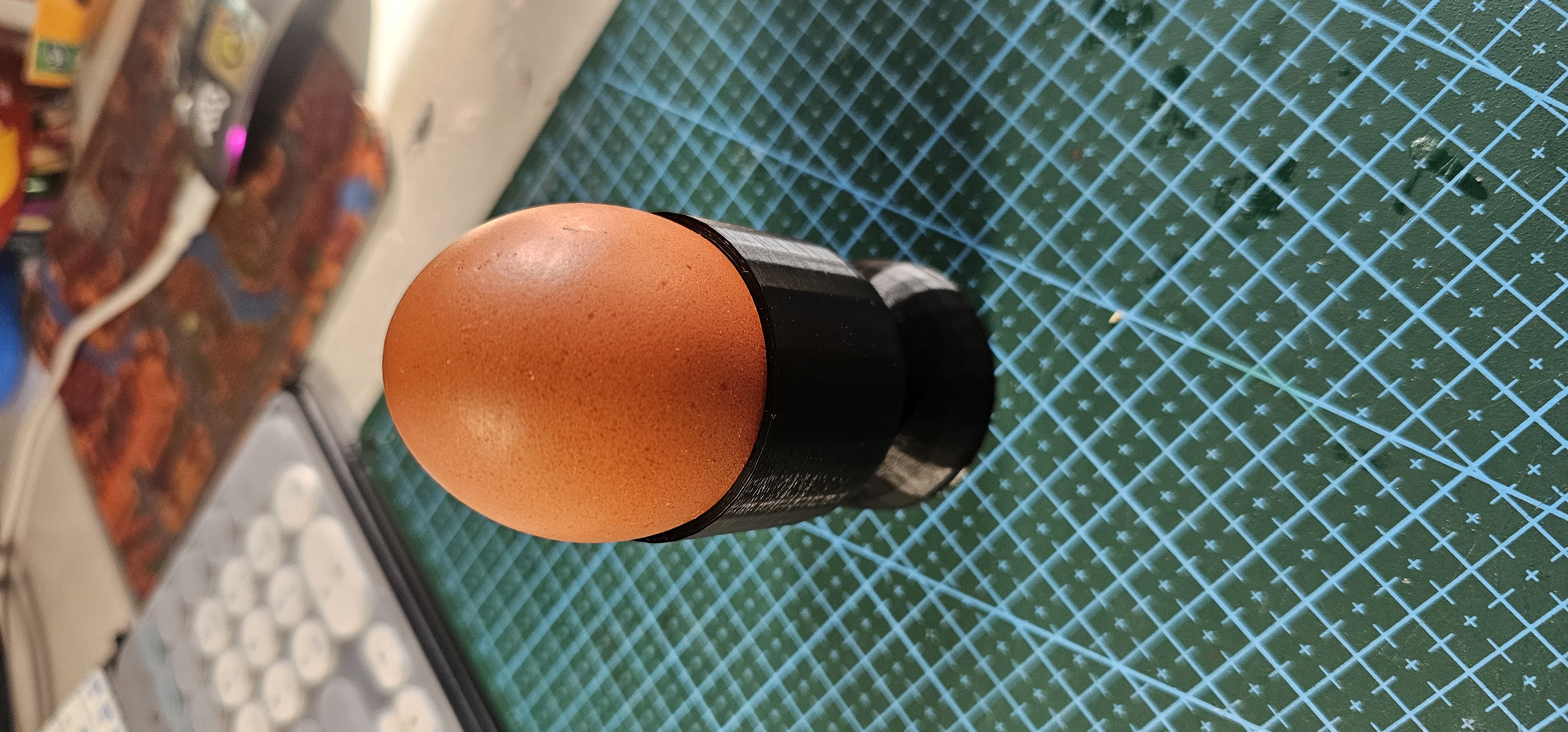 Simple egg holder
