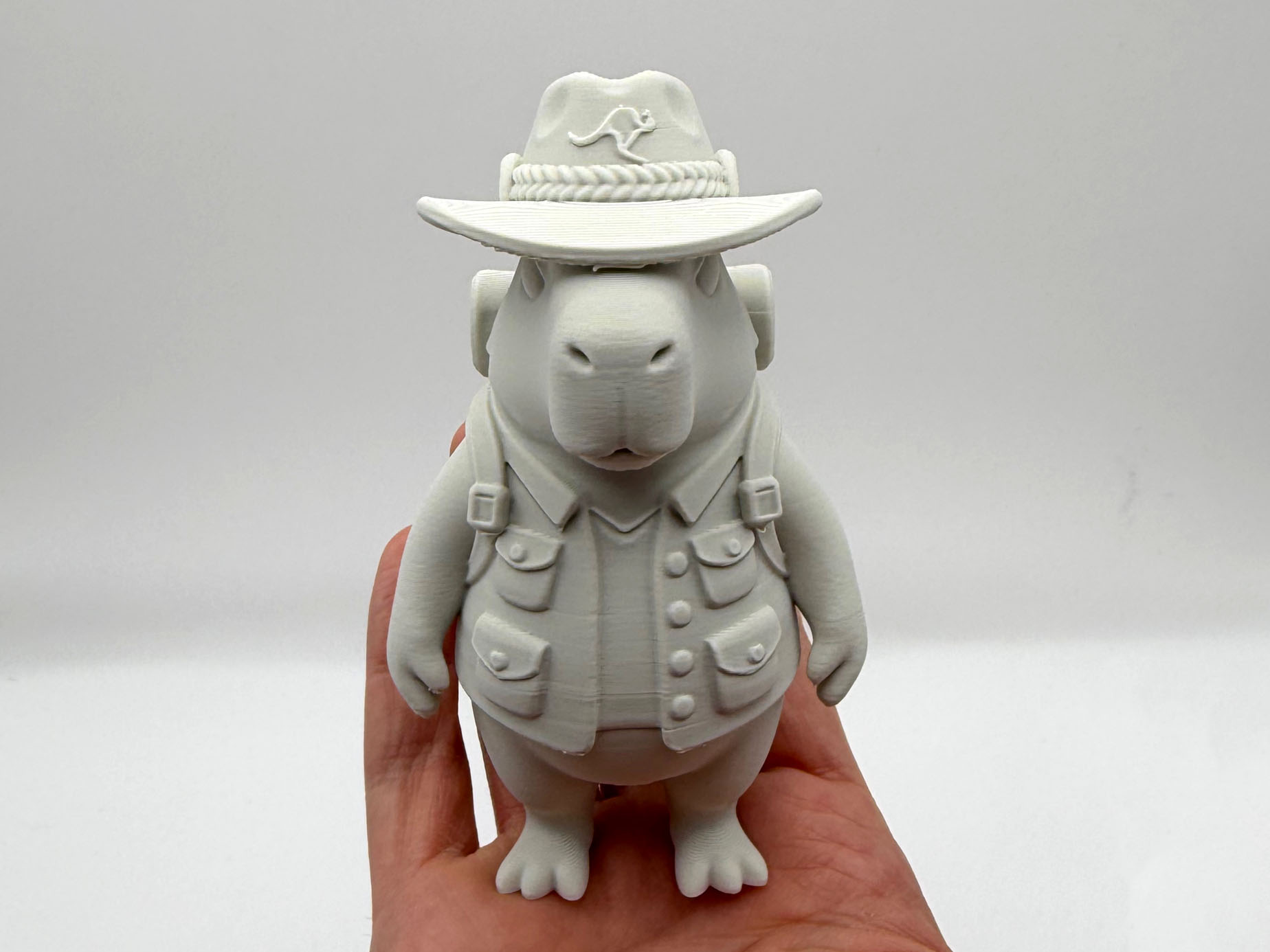 Capybara Outback 3D model