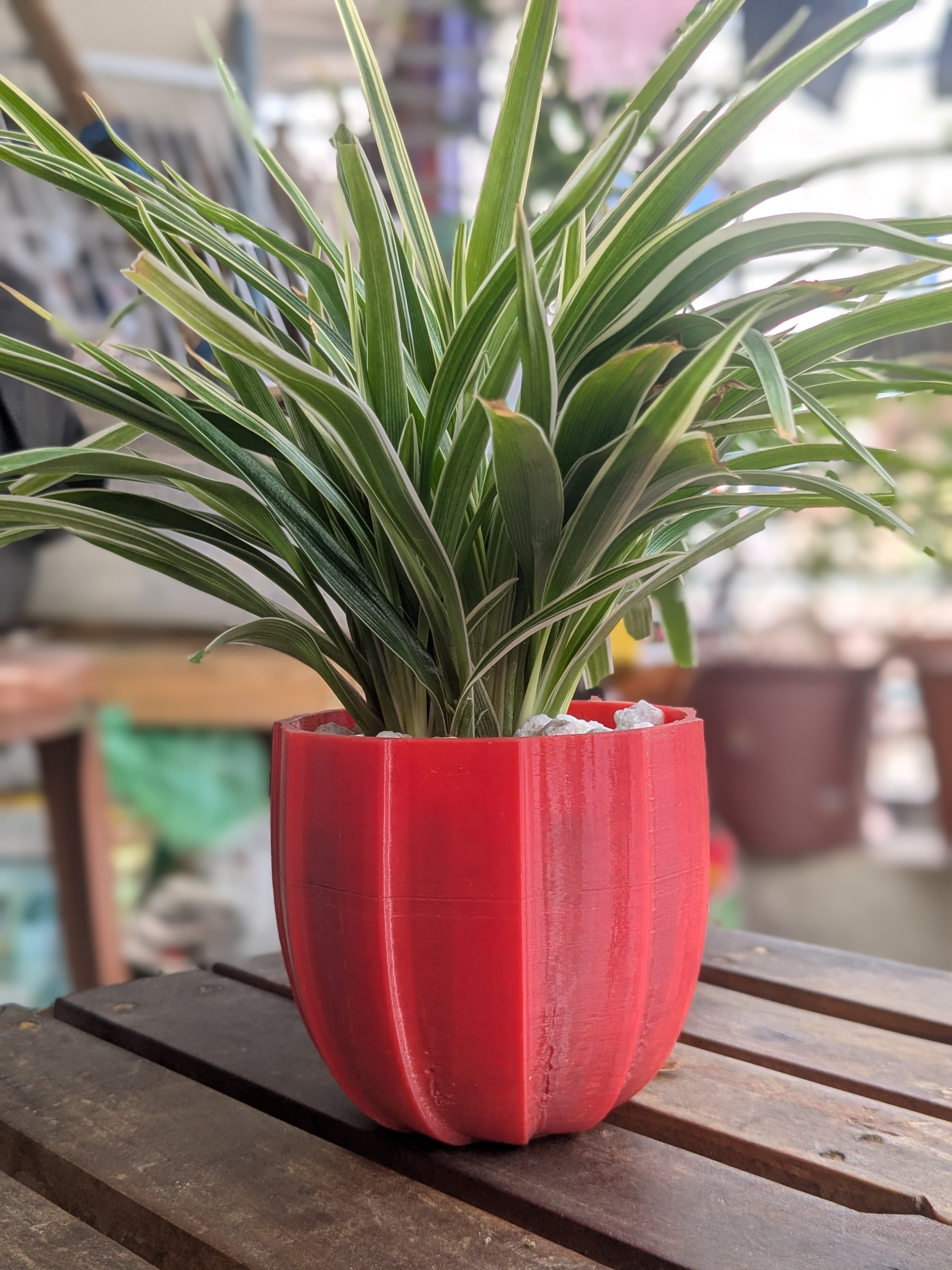 Wavey Planter – 3D Printed Modern Plant Pot