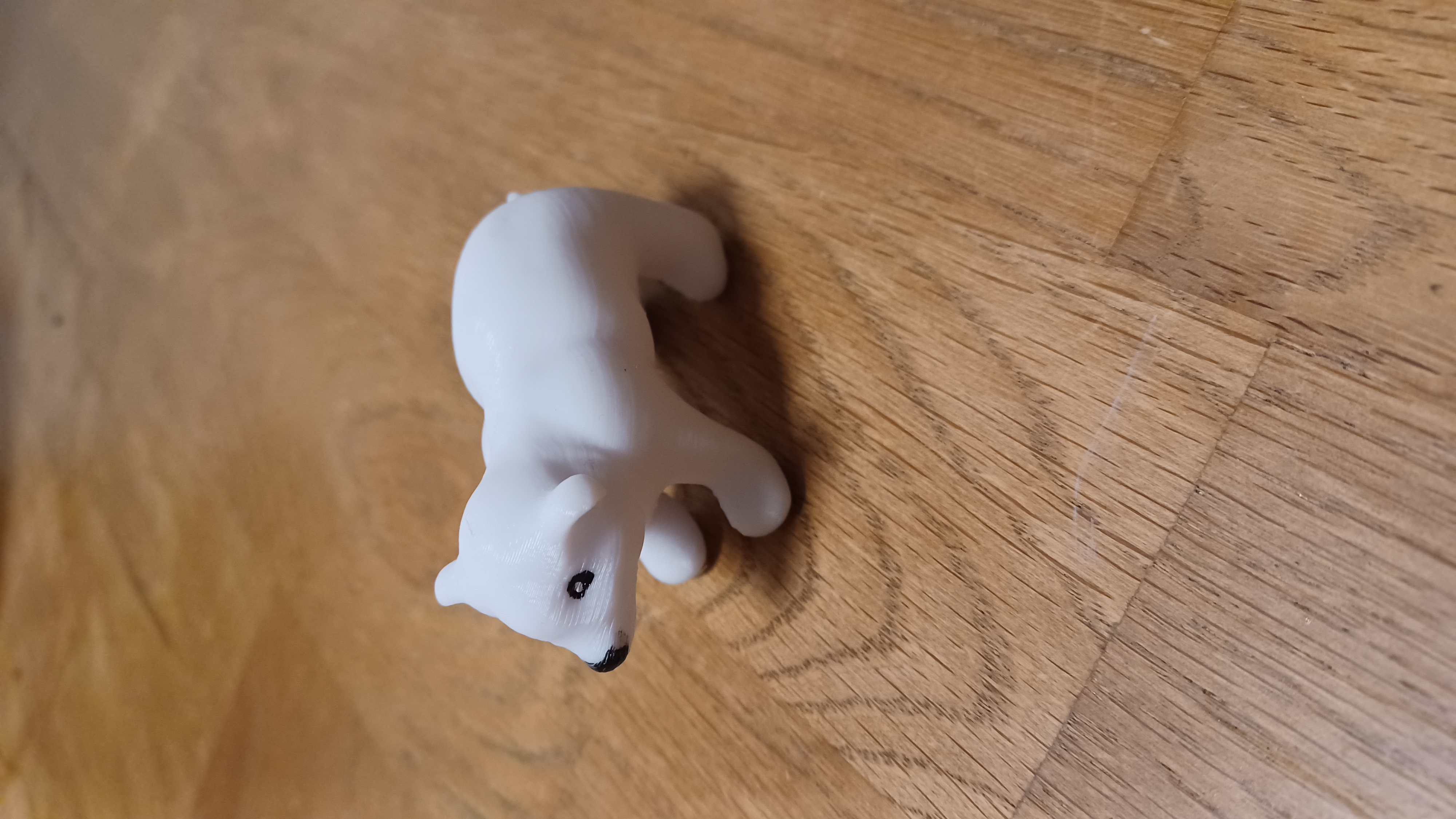 Polar Bear