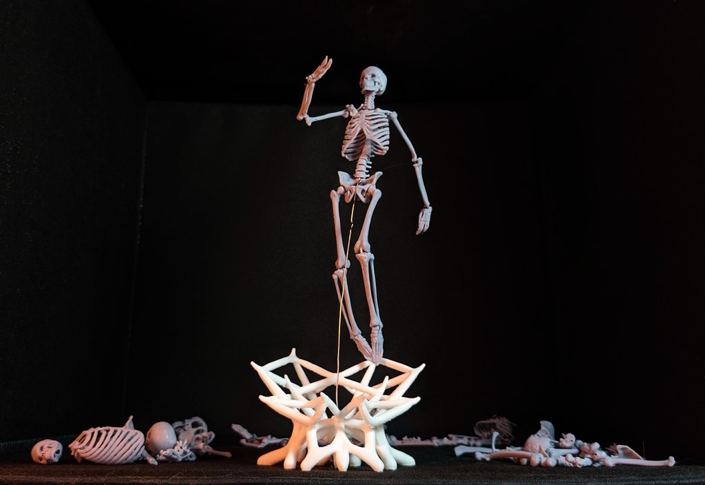 Miniatura 7 do modelo 3D Poseable Human Skeleton Display - 1/10th Scale