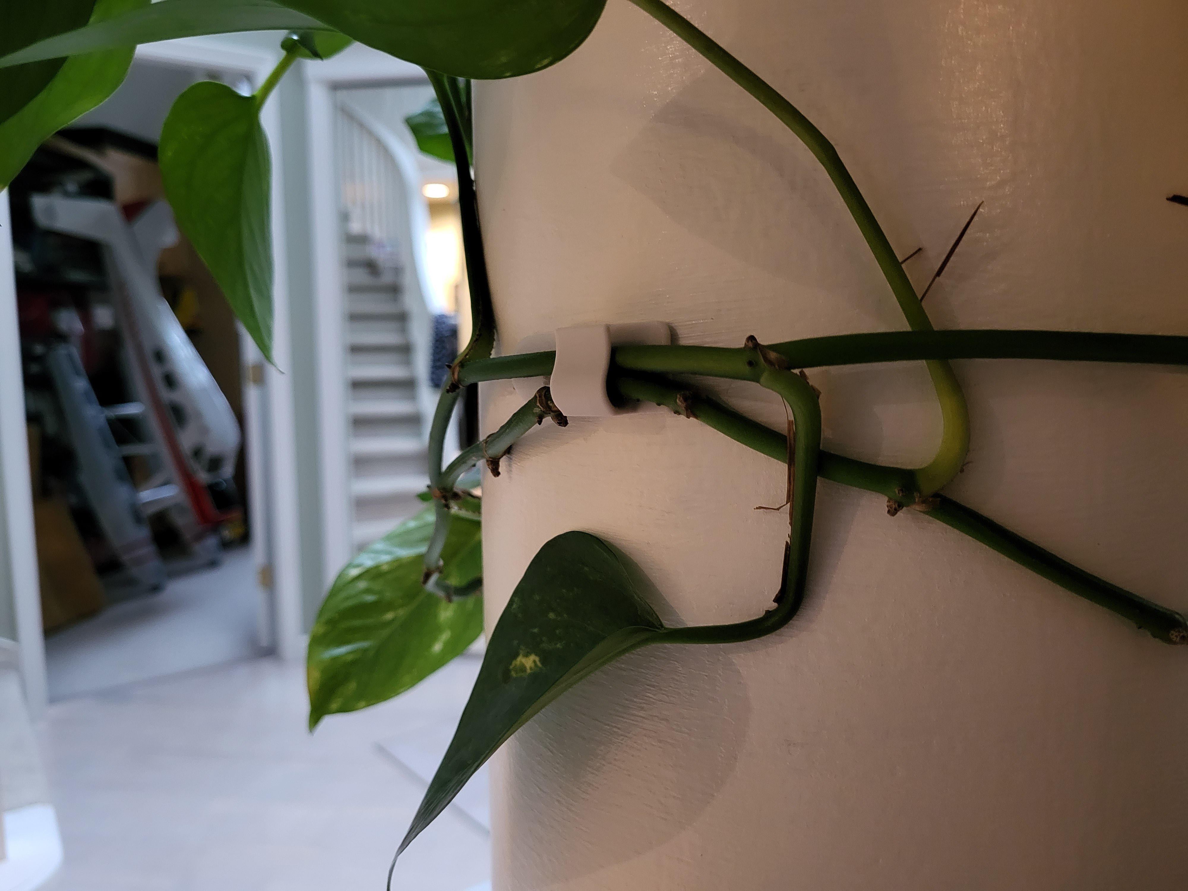 Plant Clip