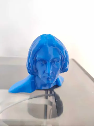 Nicolaus Copernicus (Mikołaj Kopernik) Head