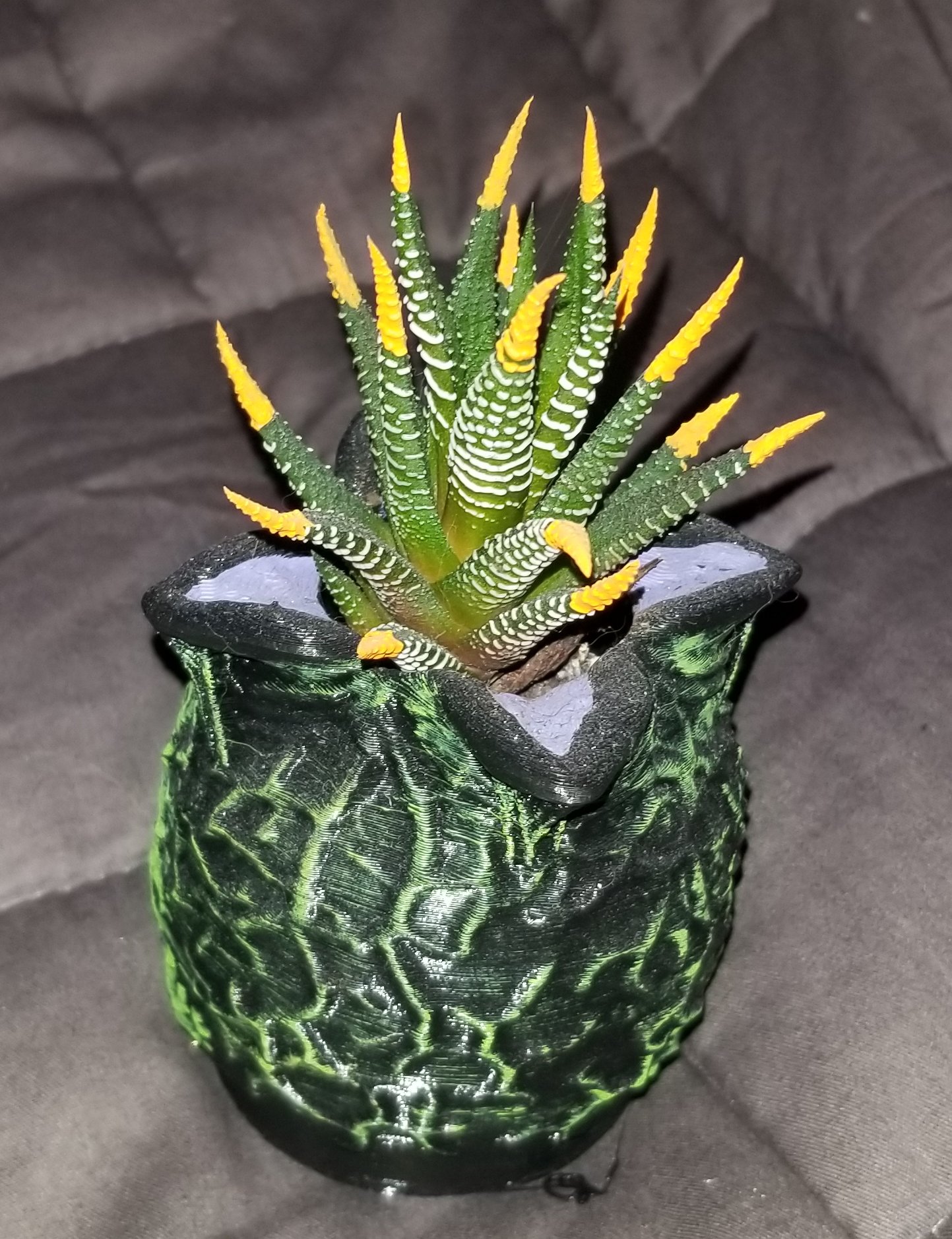 Miniatura 2 do modelo 3D Alien (Xenomorph) Egg