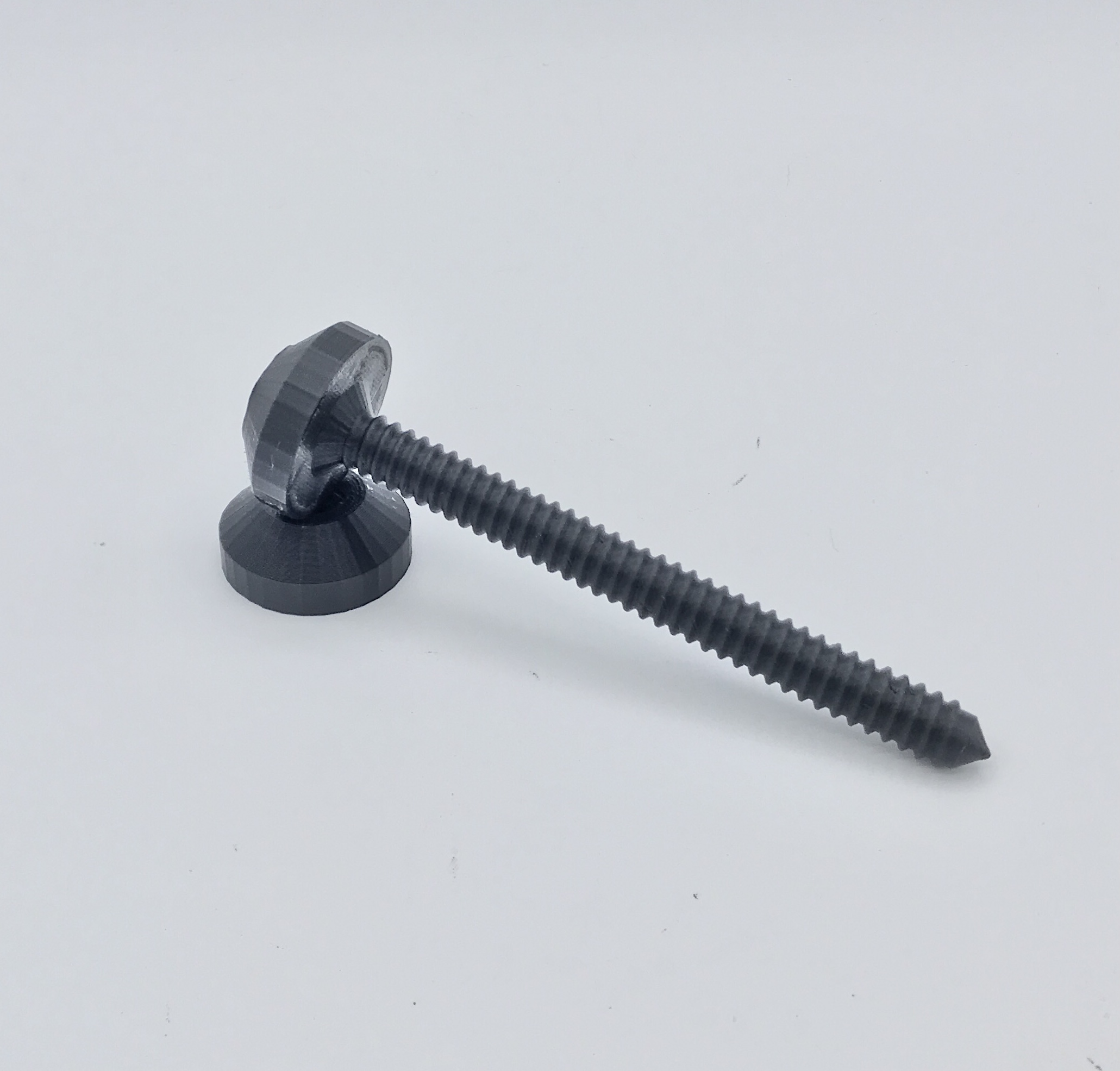 Screw and Nut Fidget