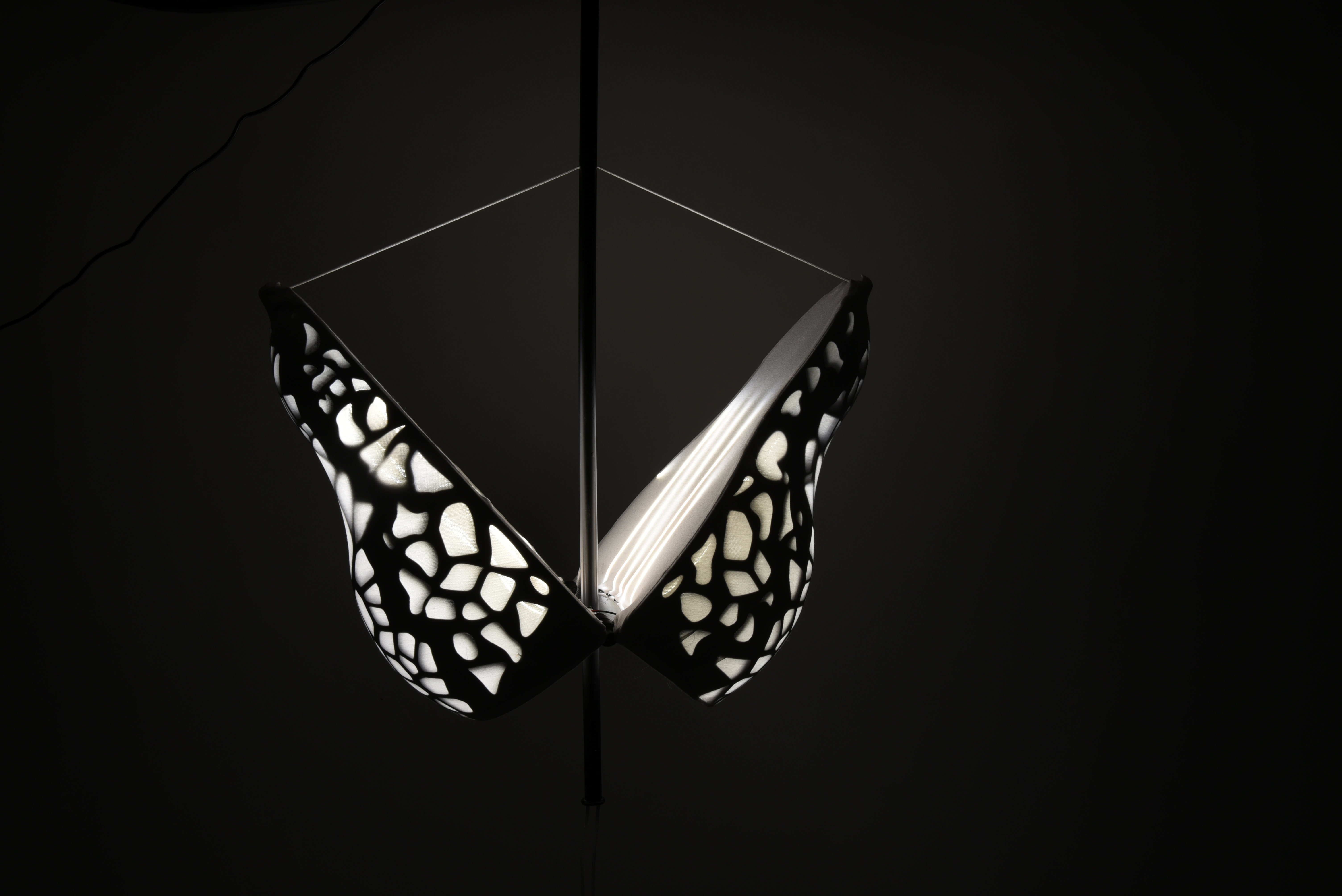 The Glowing Butterfly