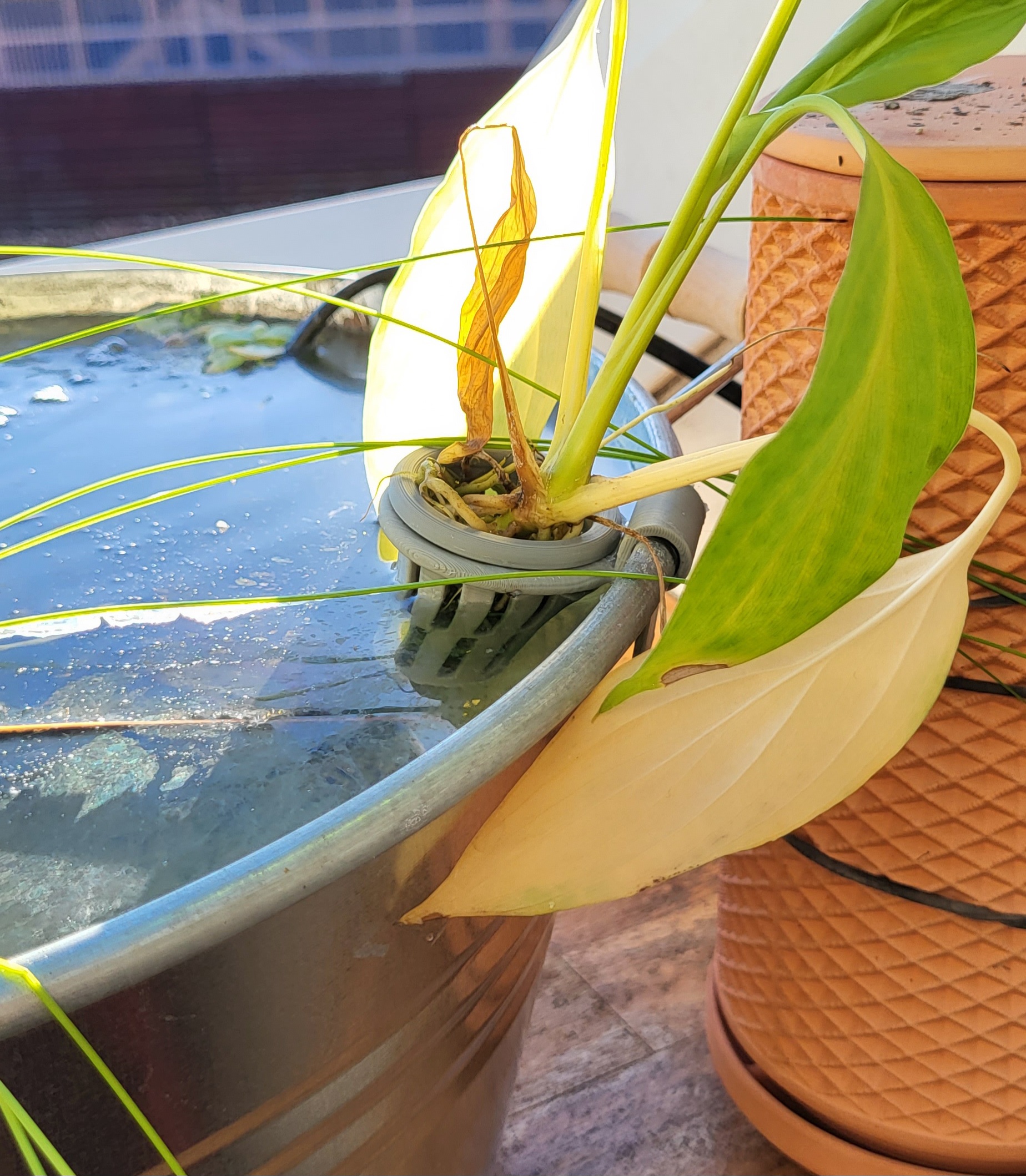 Riparium Emersed Aquarium Planting Pot for Tinc Tub