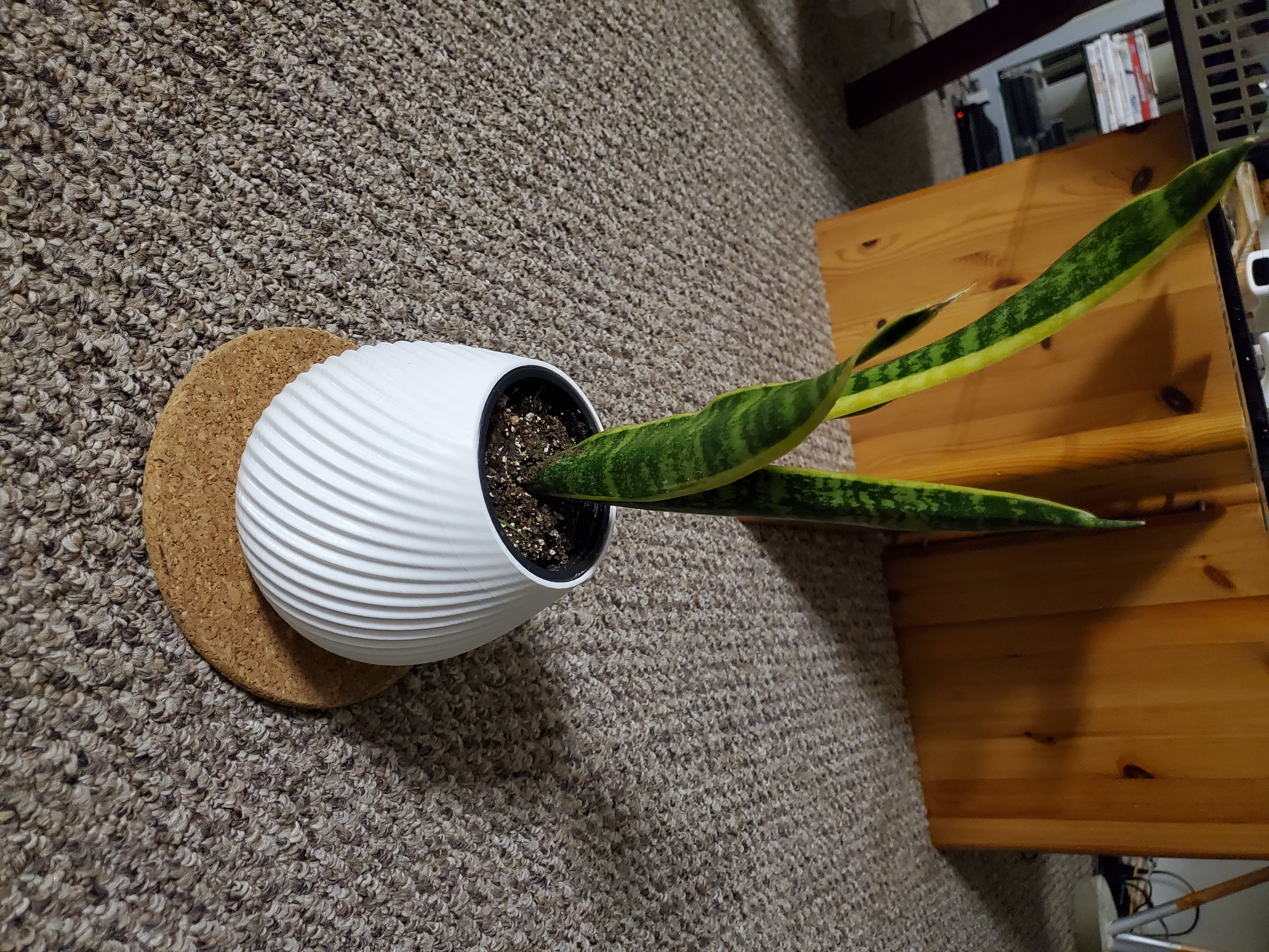 Miniatura 2 do modelo 3D funky Wavy Planter