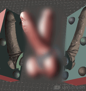 My Real Penis + Mold, 3D Scanned (Erect) with Cock and Ball Rings