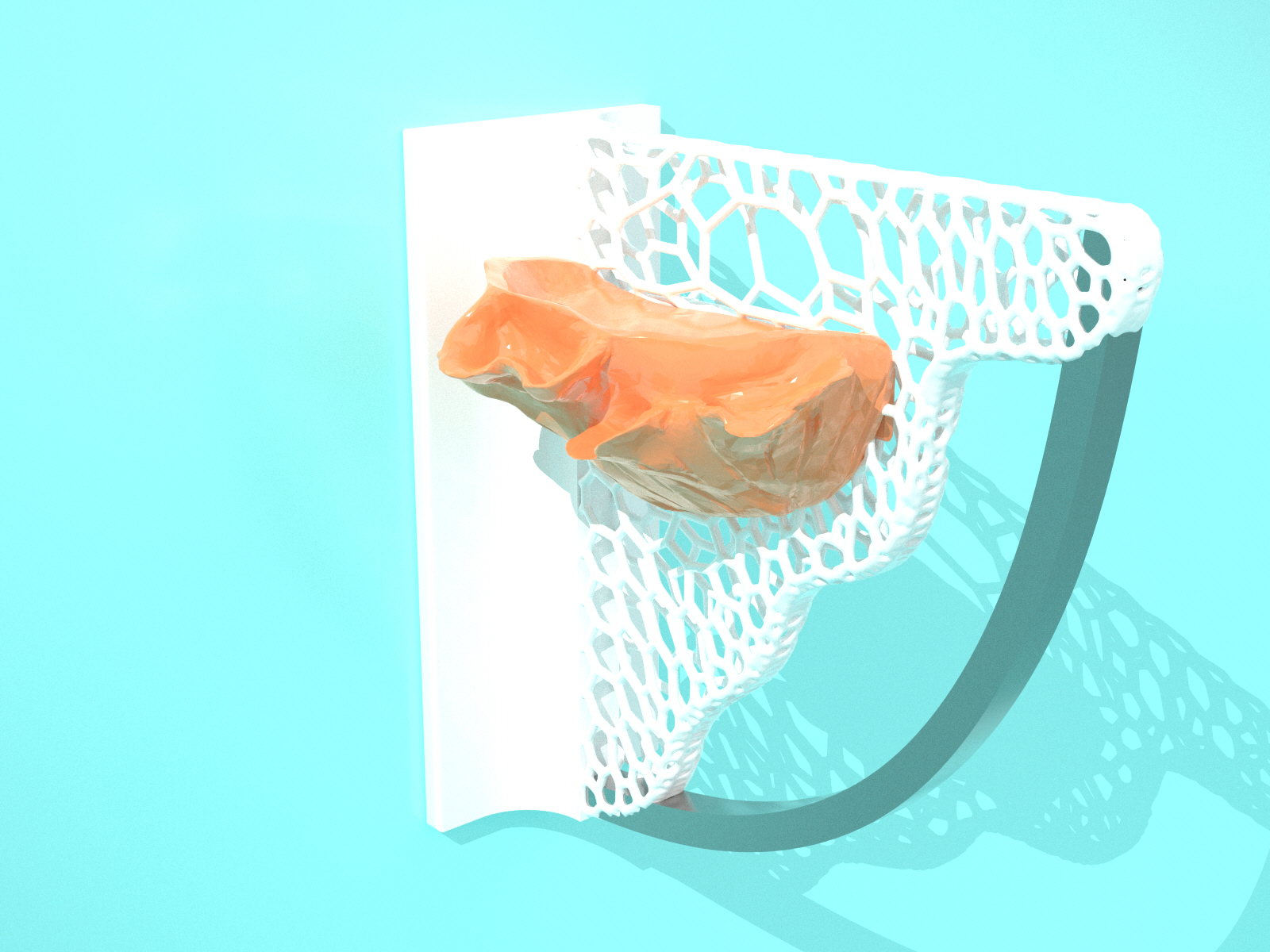 Corav_SoapHolder — miniatura 2