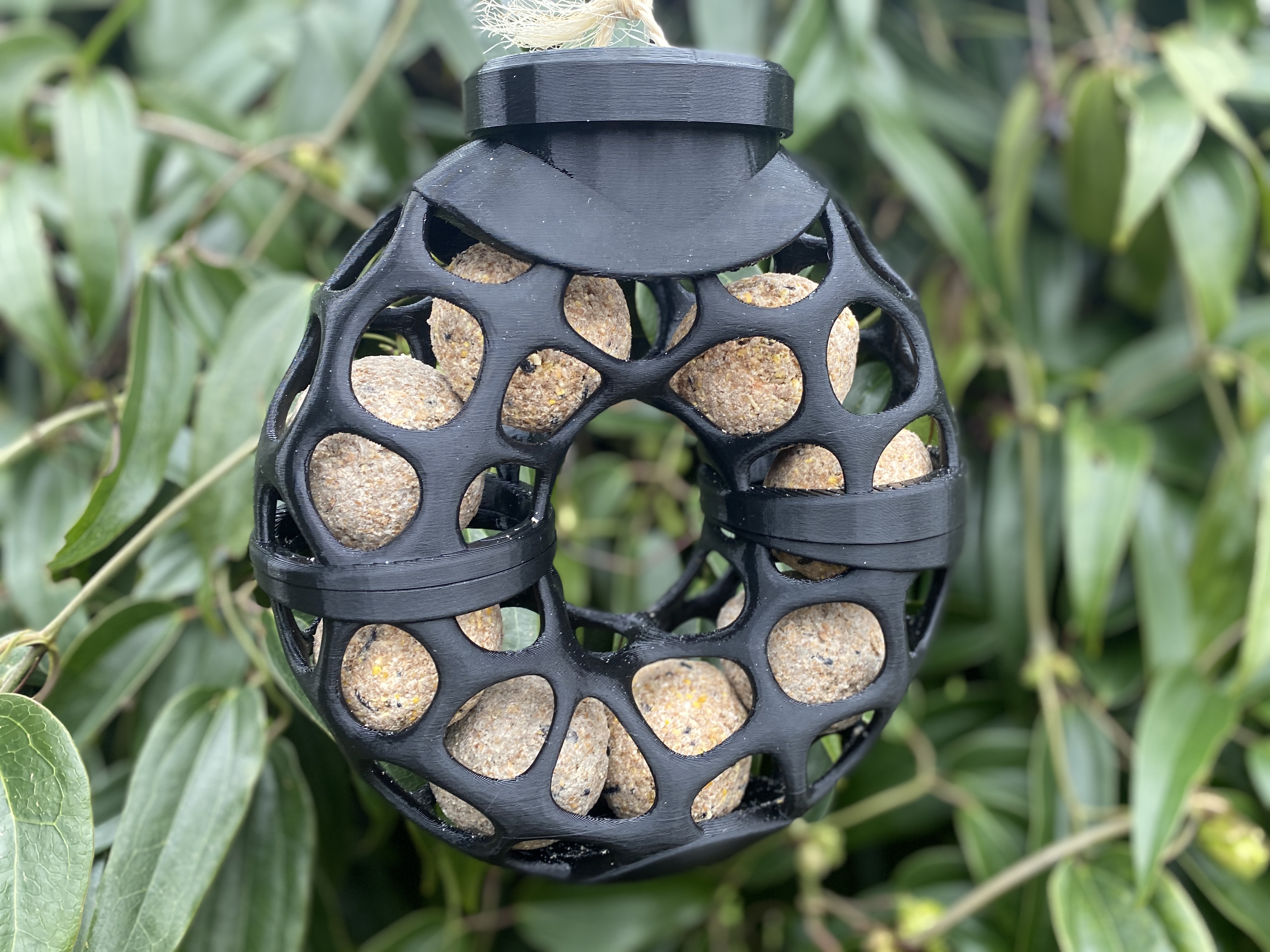 Suet balls bird feeder