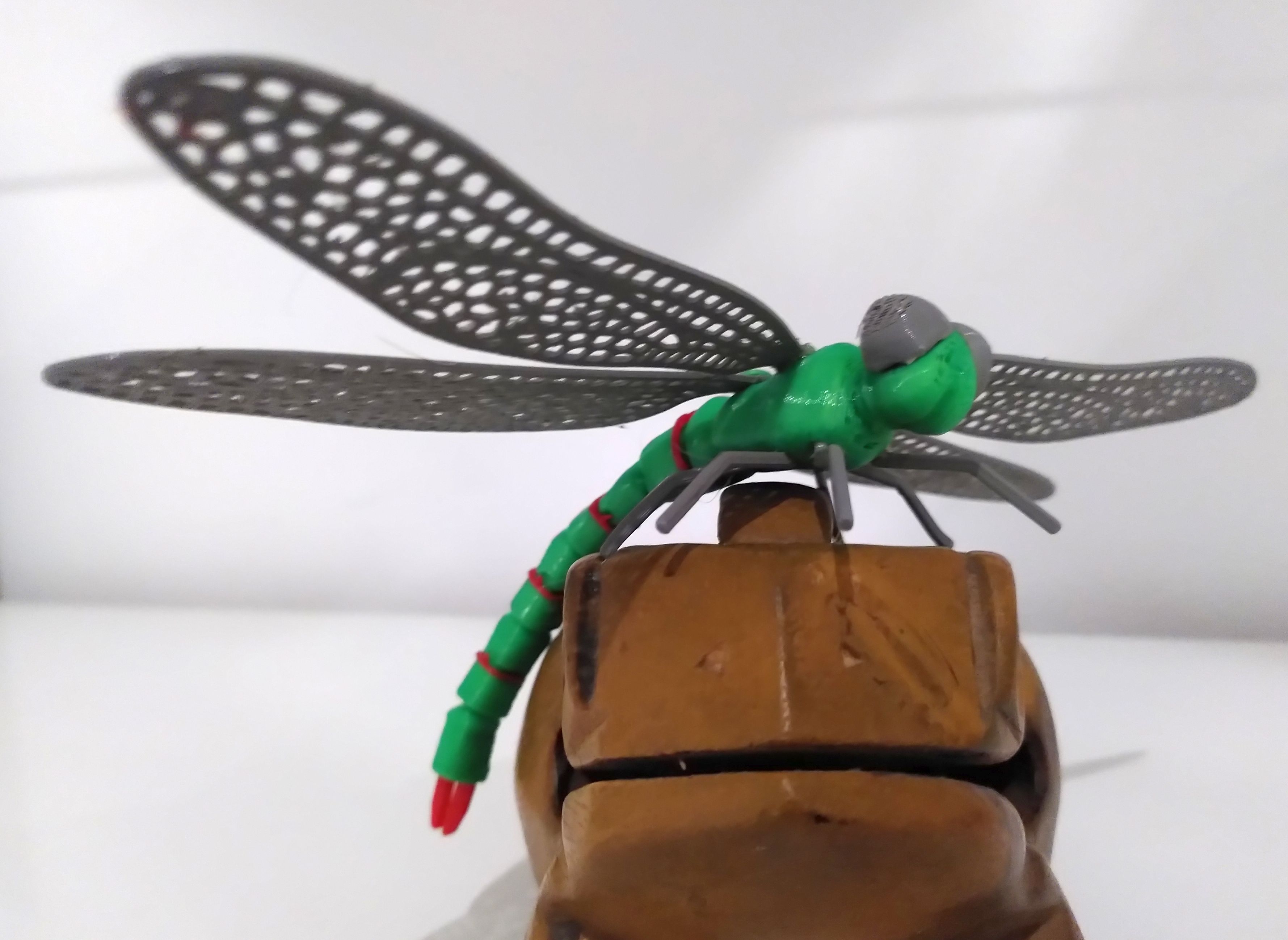 dragon-fly