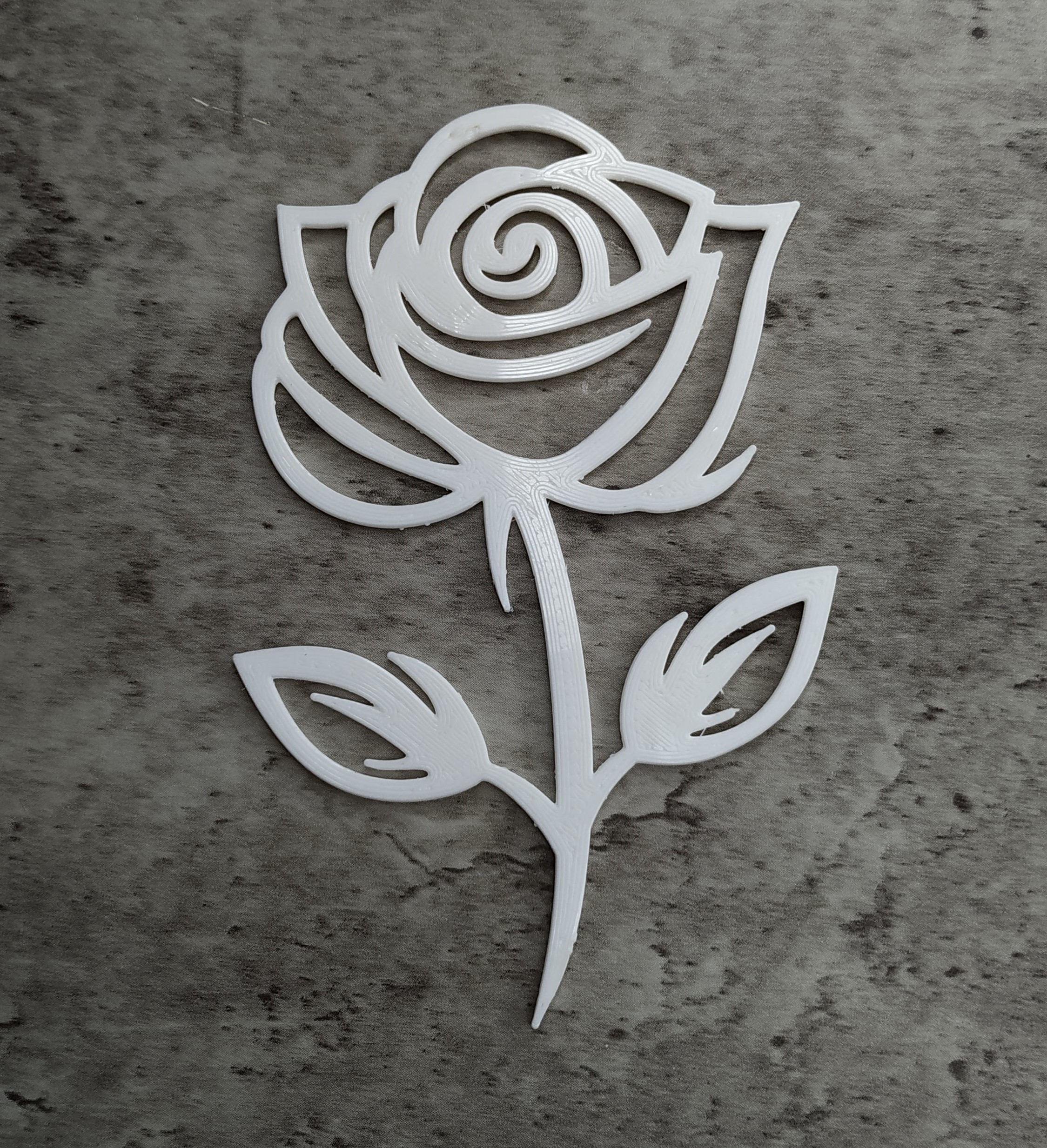 International Women's Day / Valentine's Day Rose - 5