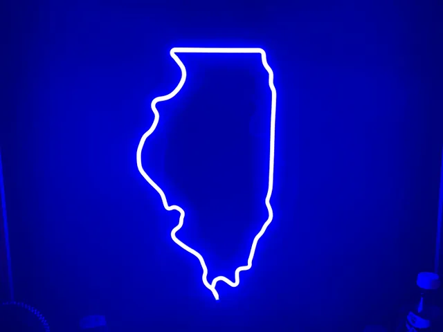 Illinois Outline Light