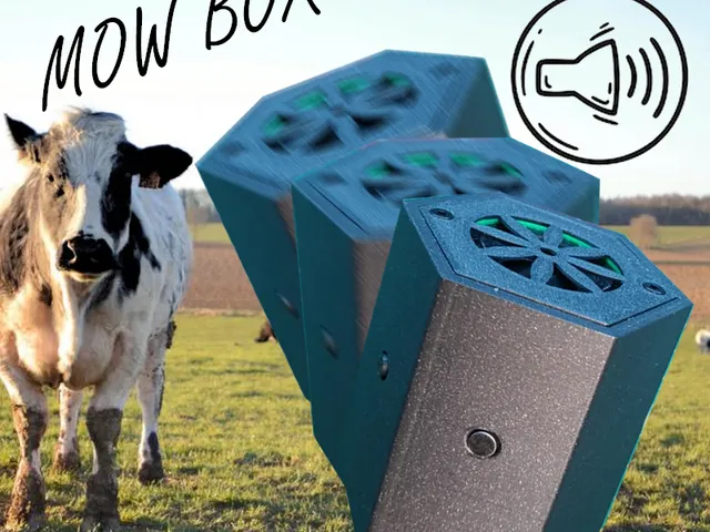 Boite à meuh
