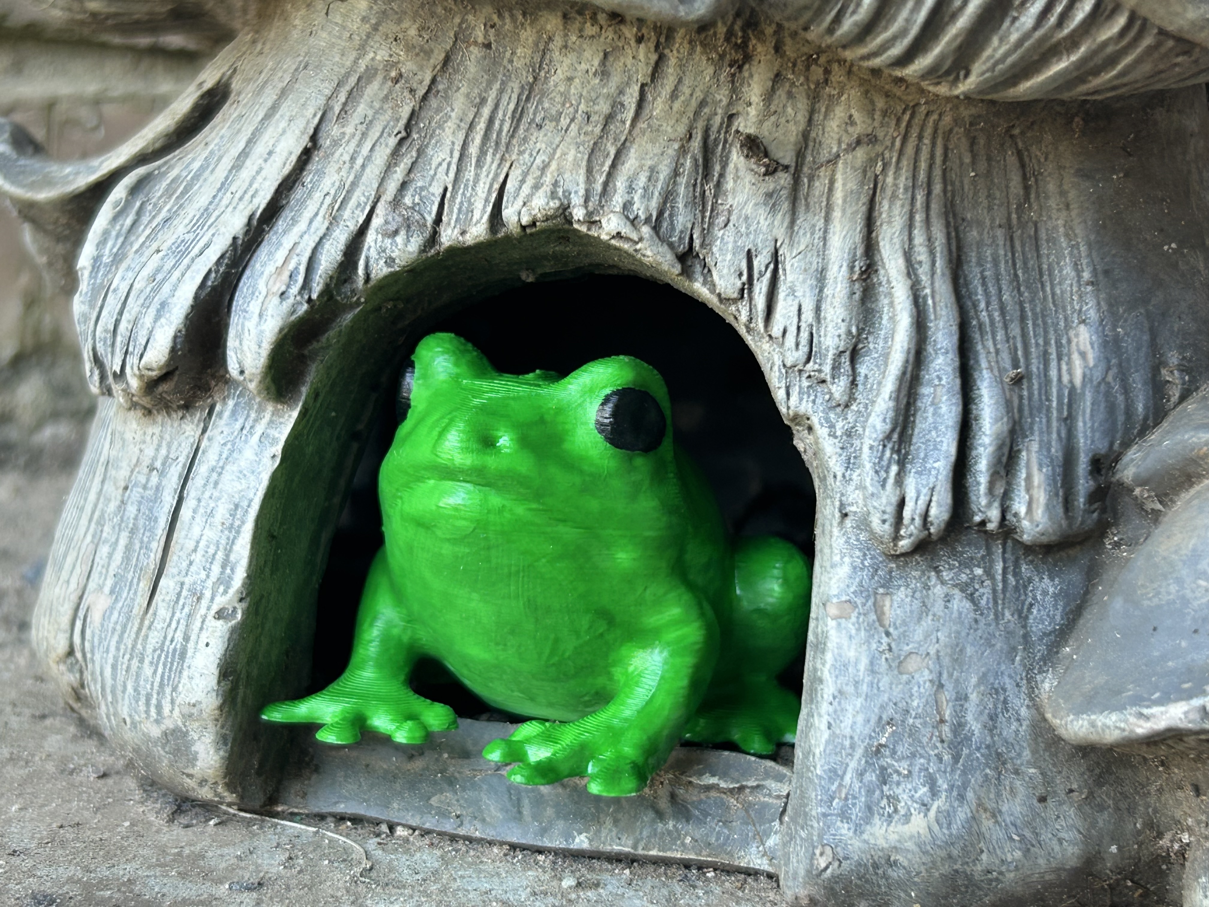 Froggy Friend