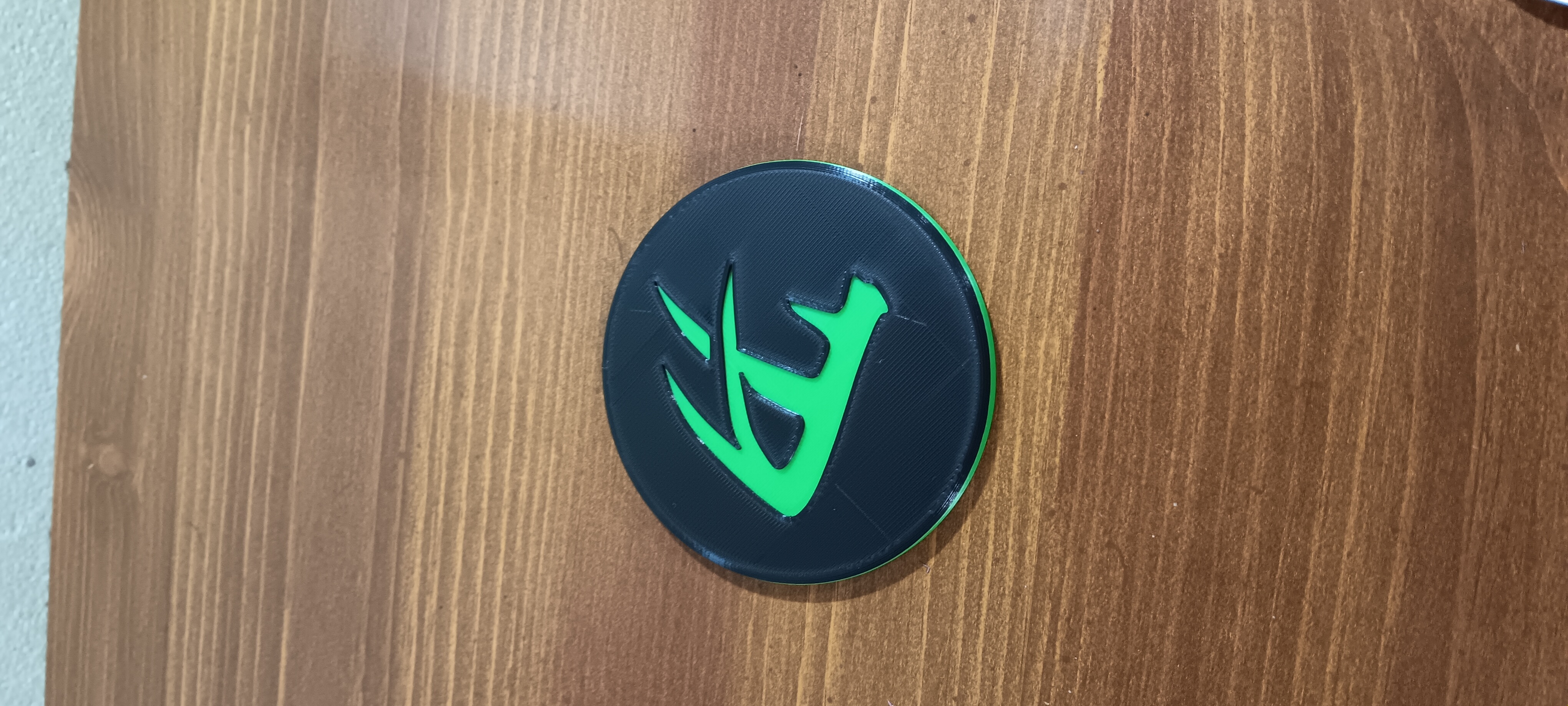 Hoyt coaster